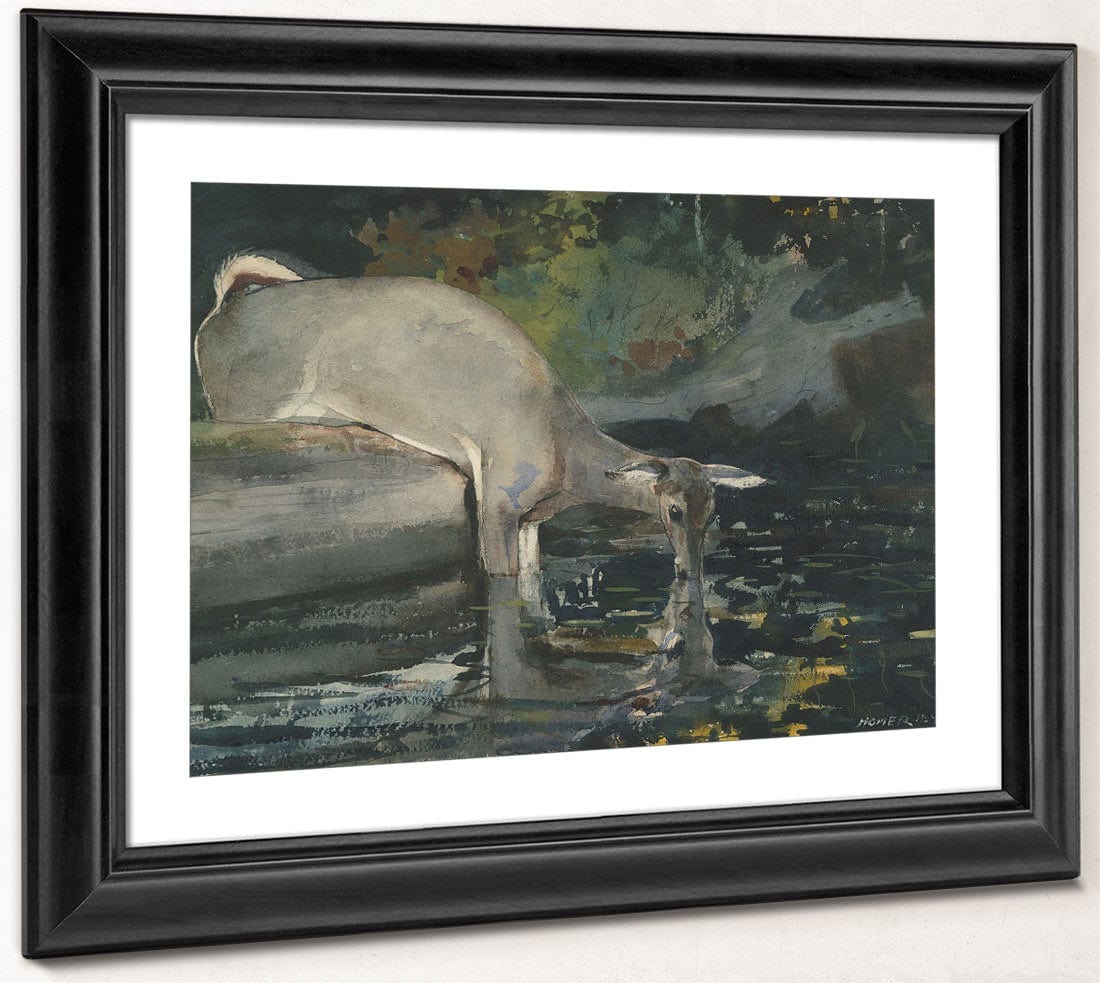 Deer Drinking By Winslow Homer - Image 4