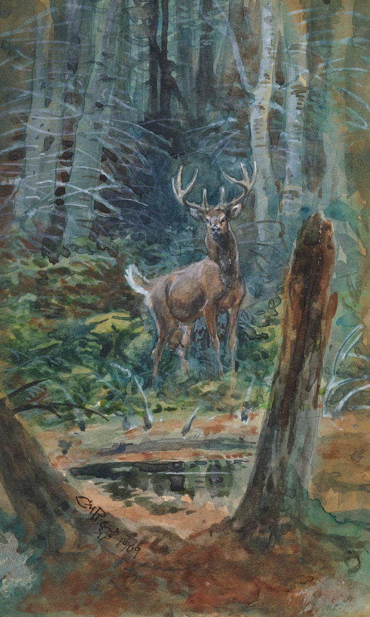 Deer In The Dell By Charles Marion Russell - Image 6