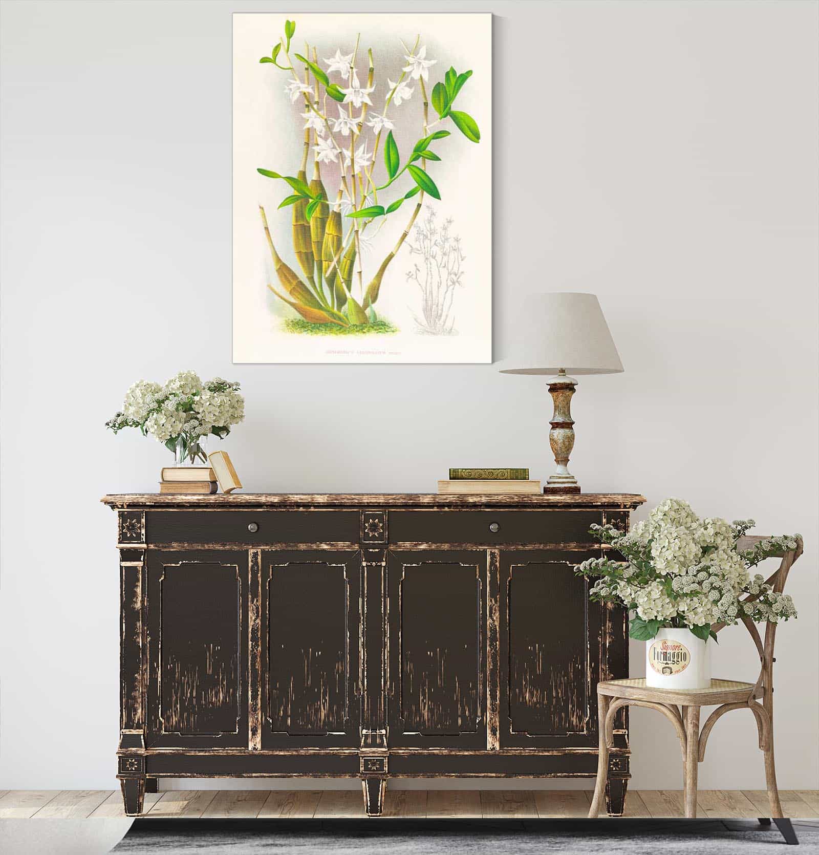 Dendrobium Crumenatum by Jean Jules Linden - Image 4