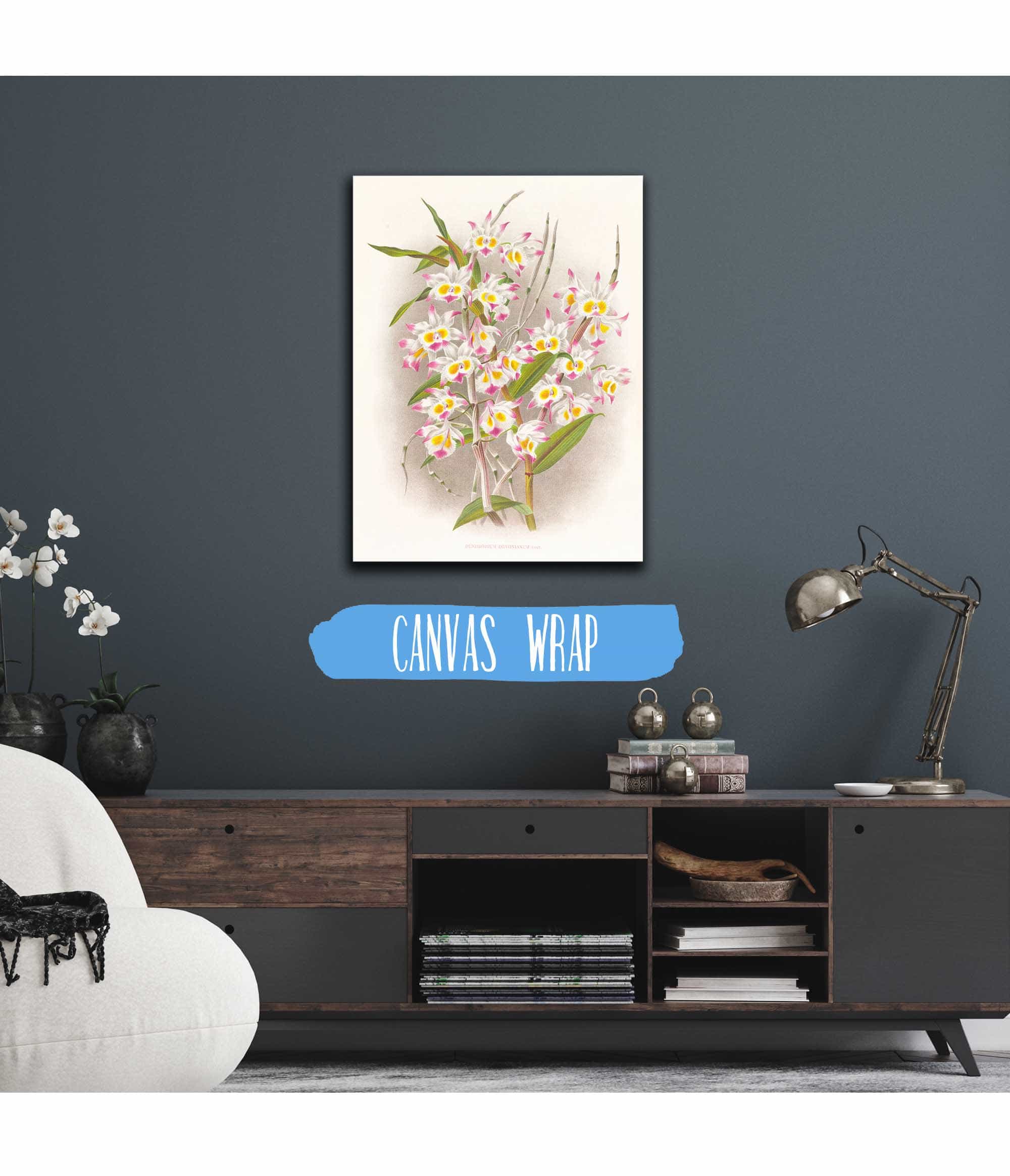 Dendrobium Devonianum by Jean Jules Linden - Image 3