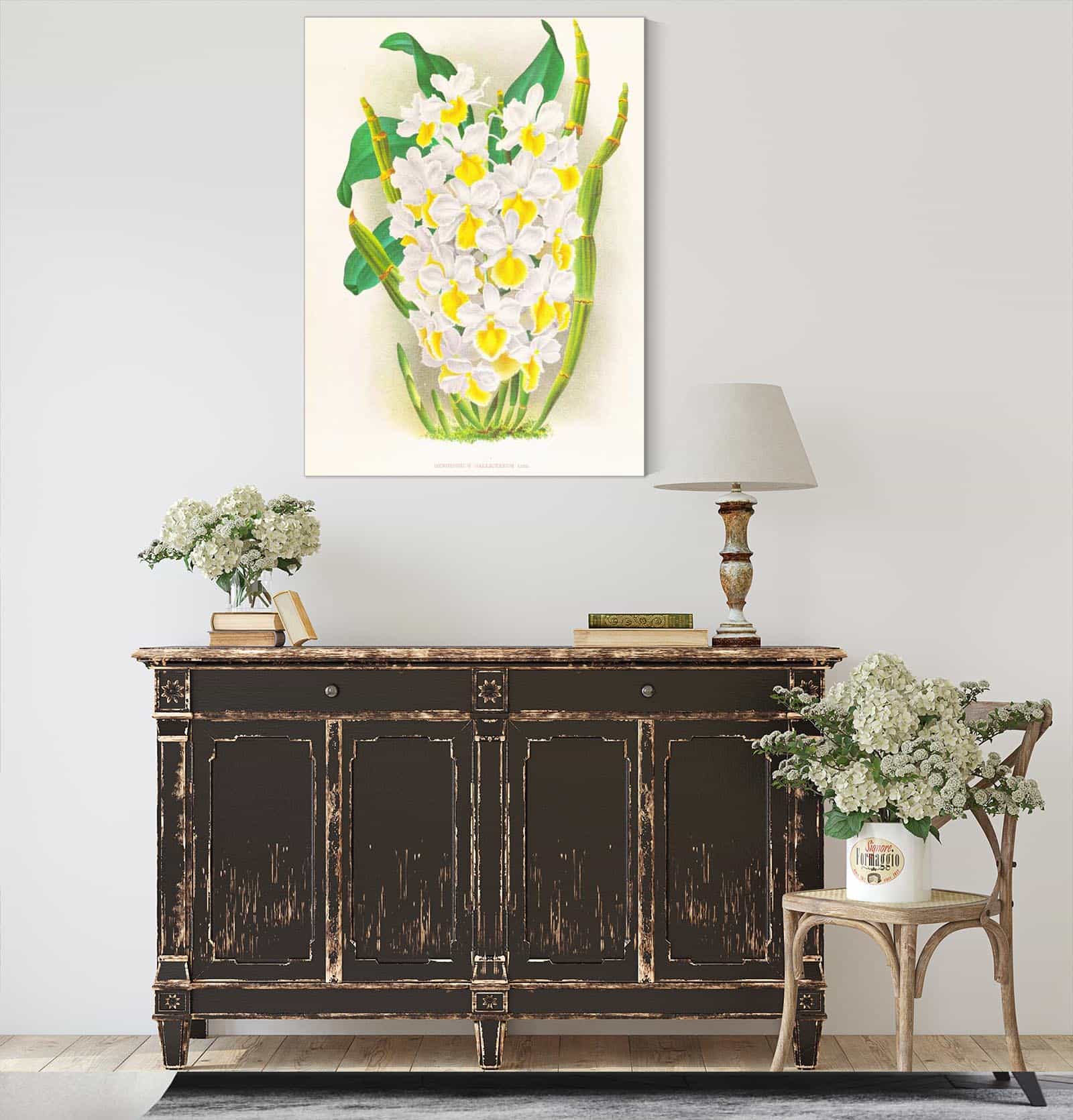 Dendrobium Galliceanum by Jean Jules Linden - Image 4