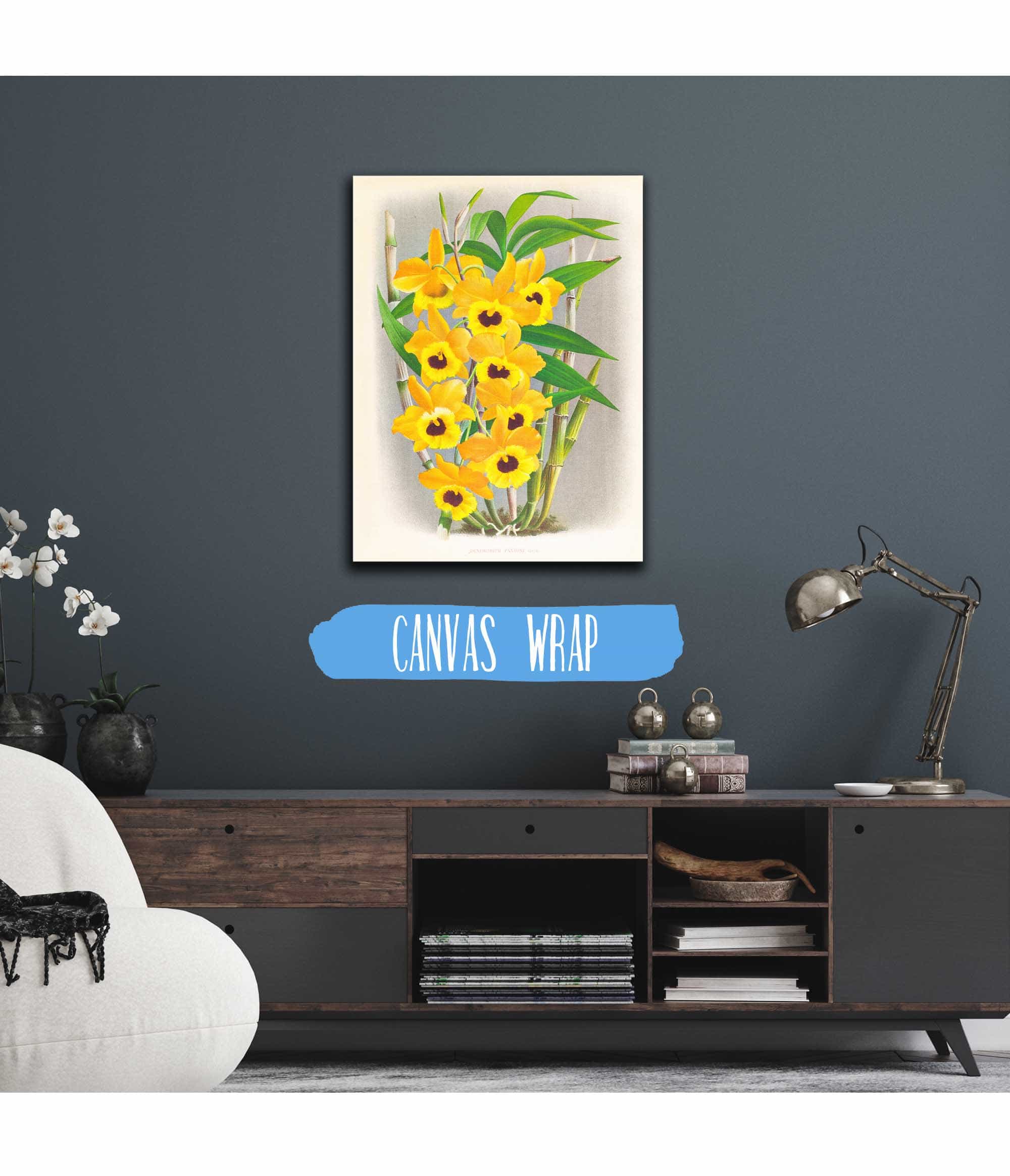 Dendrobium Paxtoni by Jean Jules Linden - Image 3
