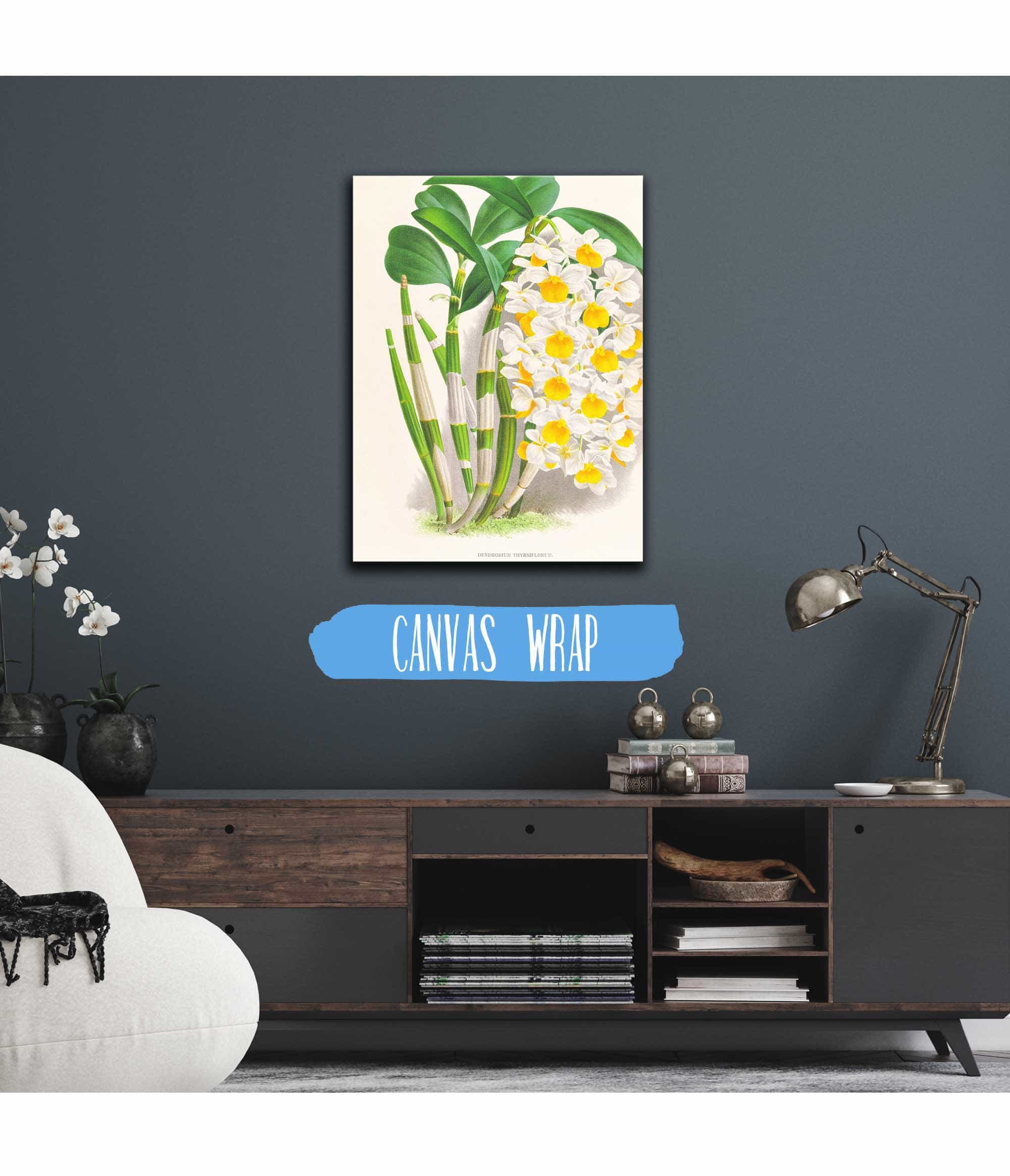 Dendrobium Thyrsiflorum by Jean Jules Linden - Image 3