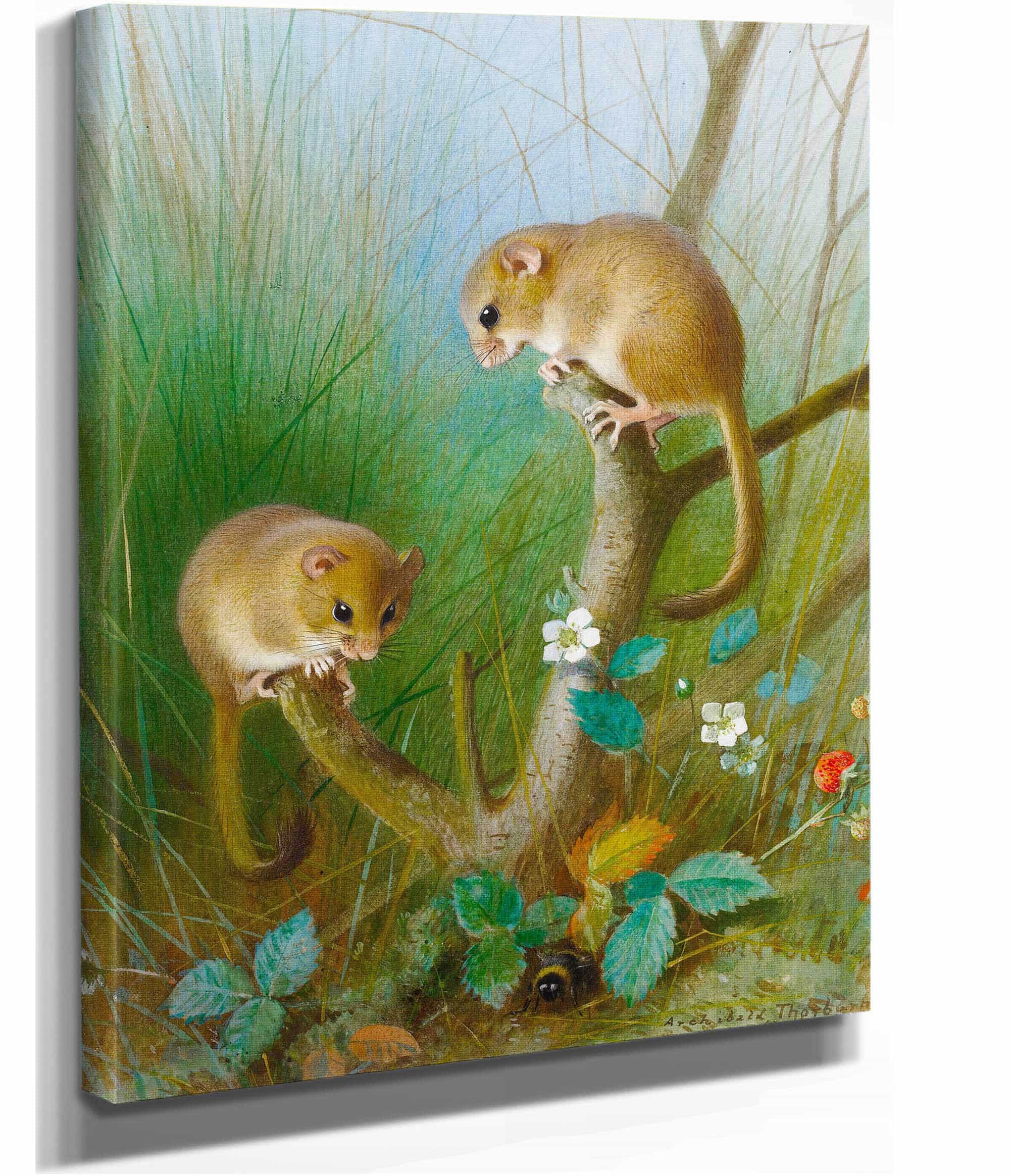 Dormice by Archibald Thorburn - Image 2