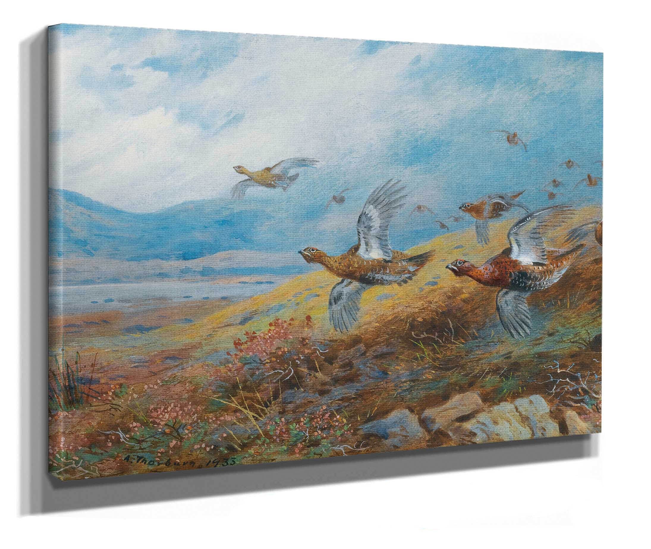 Driven Grouse by Archibald Thorburn - Image 2