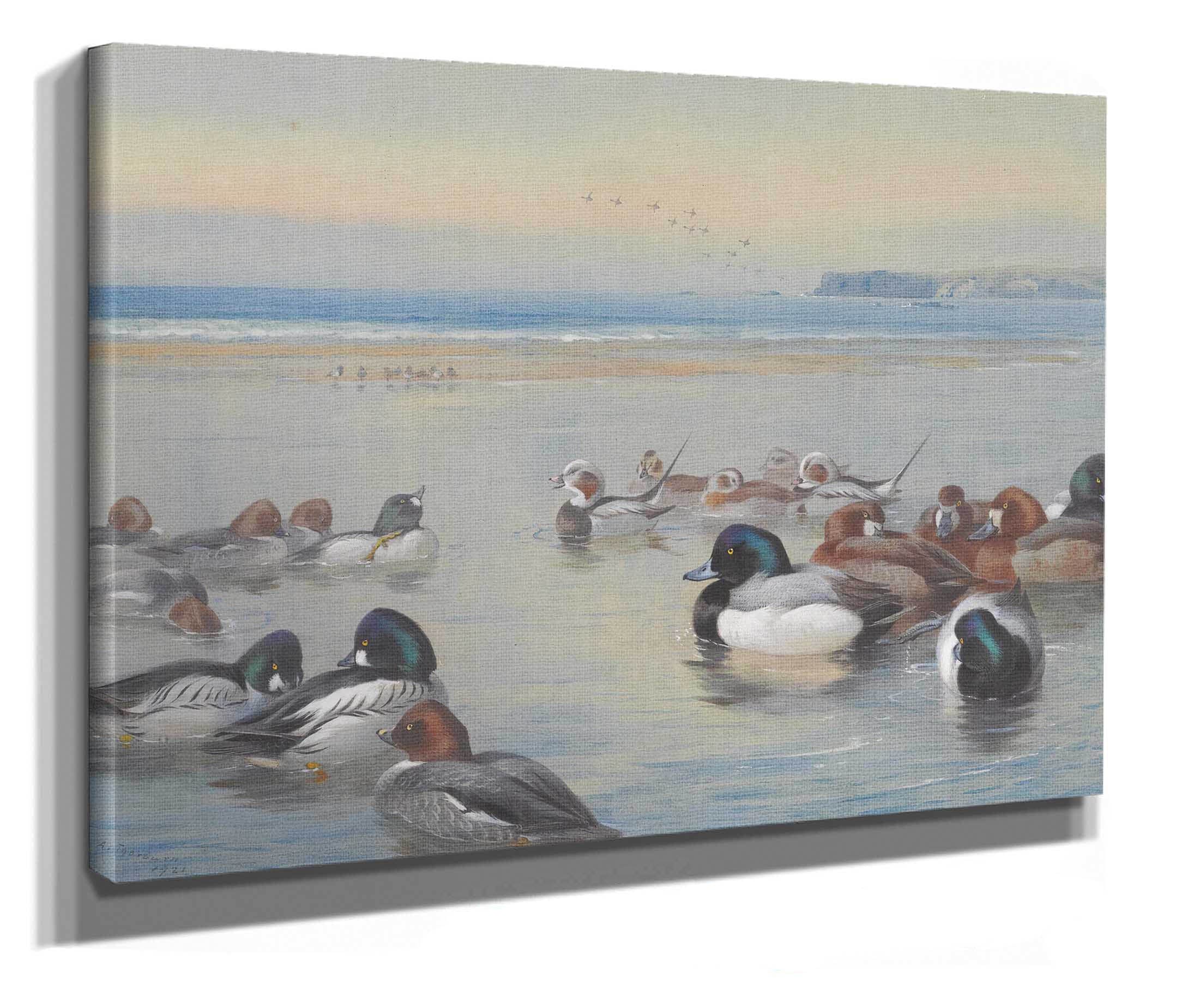 Ducks Along The Shoreline by Archibald Thorburn - Image 2