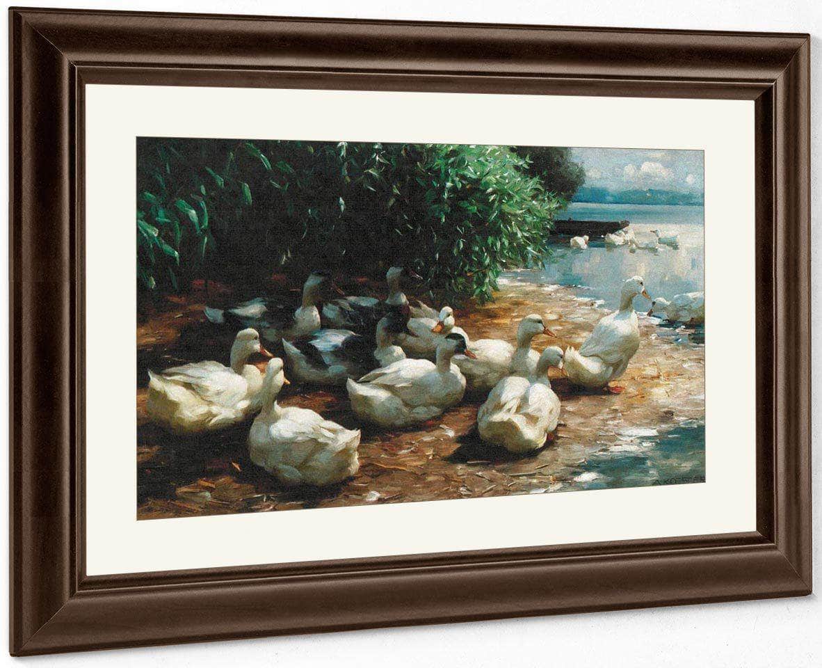Ducks At Lakeshore By Alexander Koester - Image 4