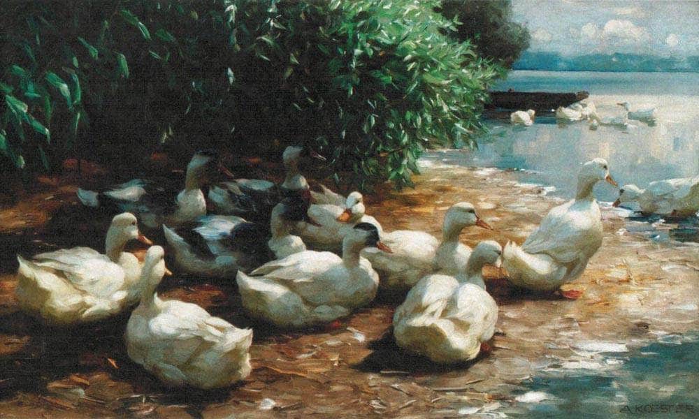 Ducks At Lakeshore By Alexander Koester - Image 6