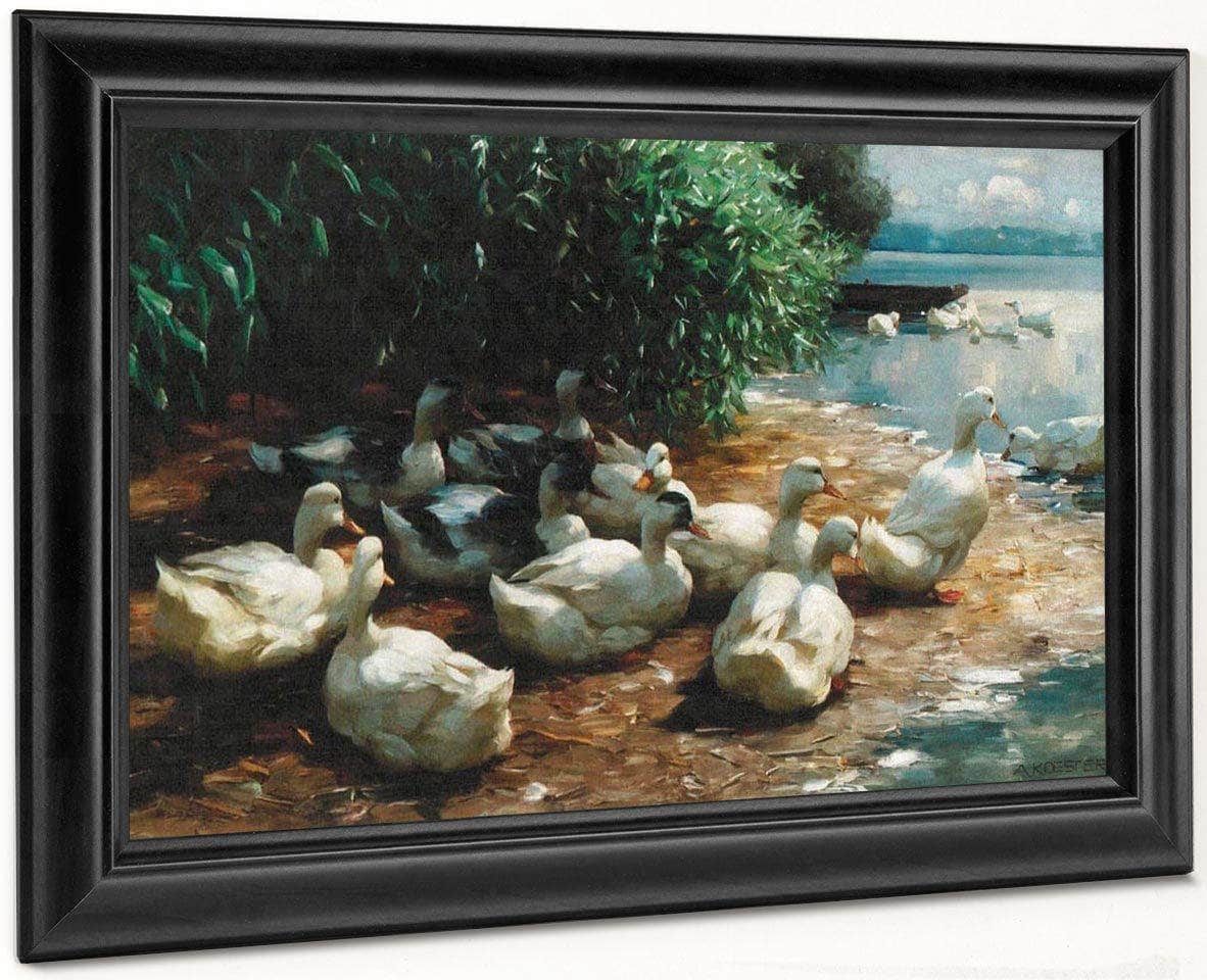Ducks At Lakeshore By Alexander Koester - Image 7