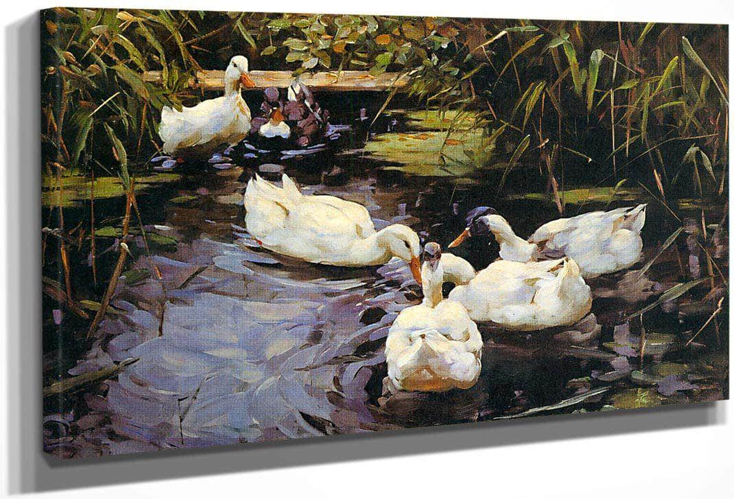 Ducks On A Reed Pond By Alexander Koester