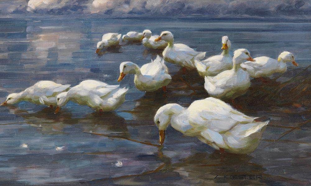 Ducks On The Lake Shore By Alexander Koester - Image 6