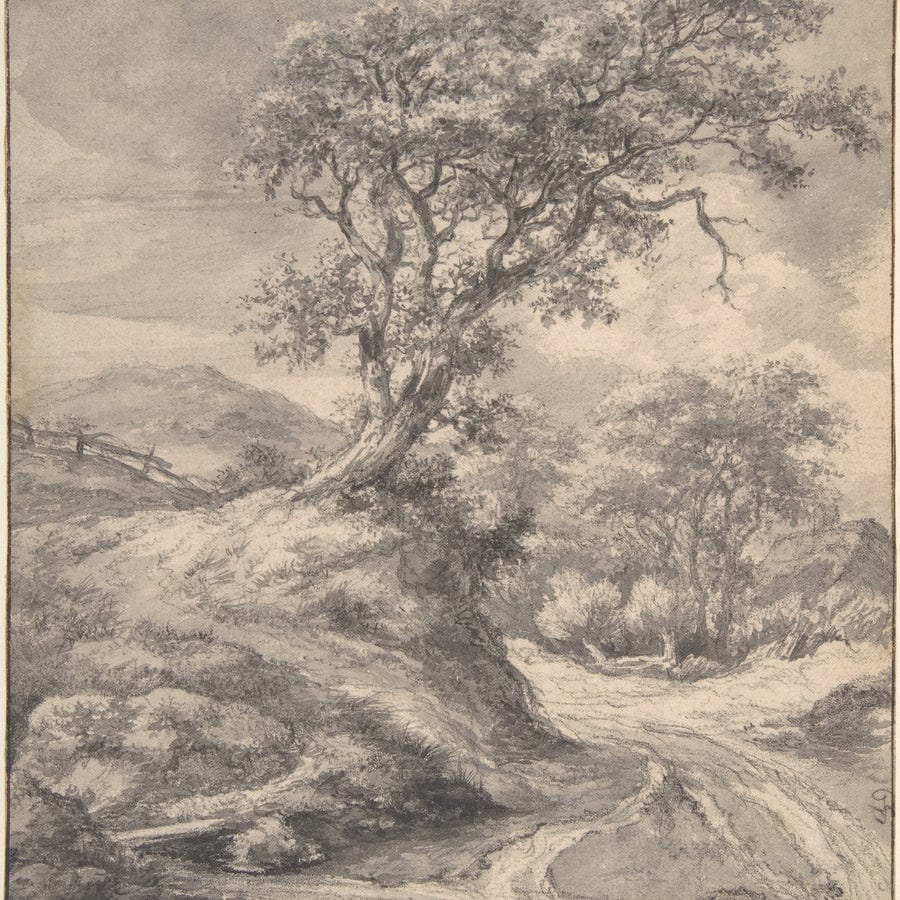 Dune Landscape With Oak Tree By Jacob Van Rusdael - Image 5