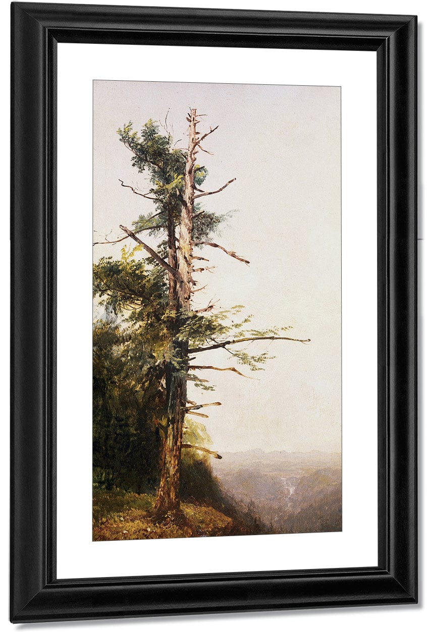 Dying Tree On Mountaintop By John Frederick Kensett - Image 3
