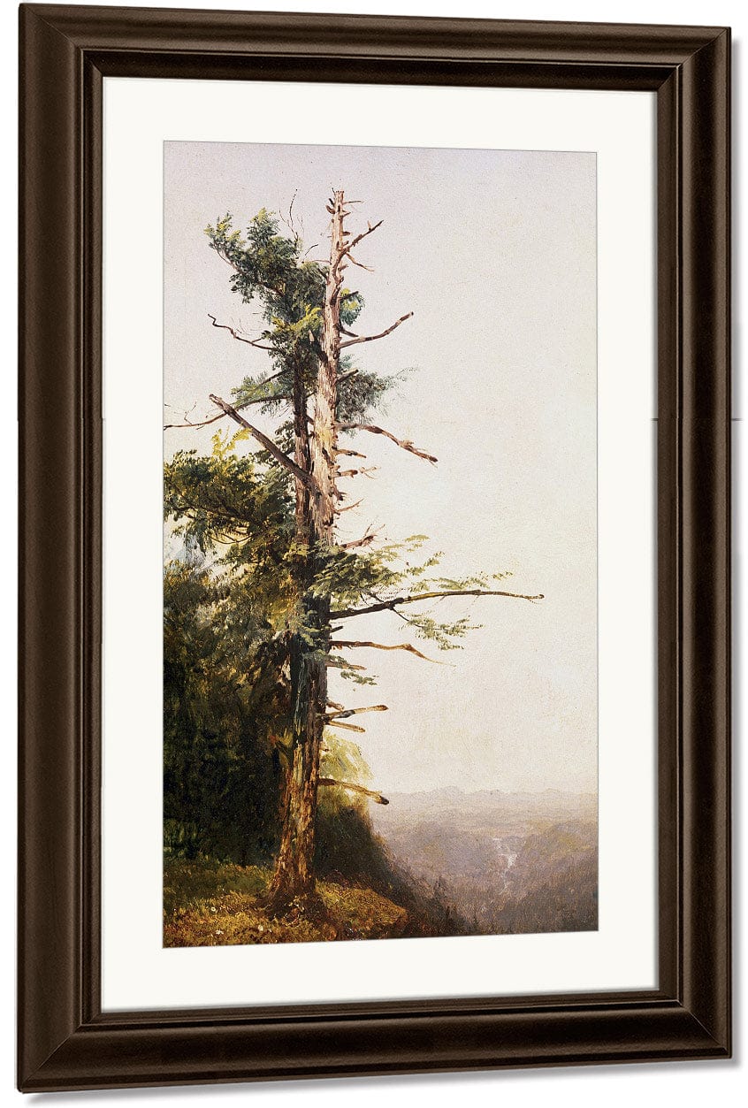 Dying Tree On Mountaintop By John Frederick Kensett - Image 4