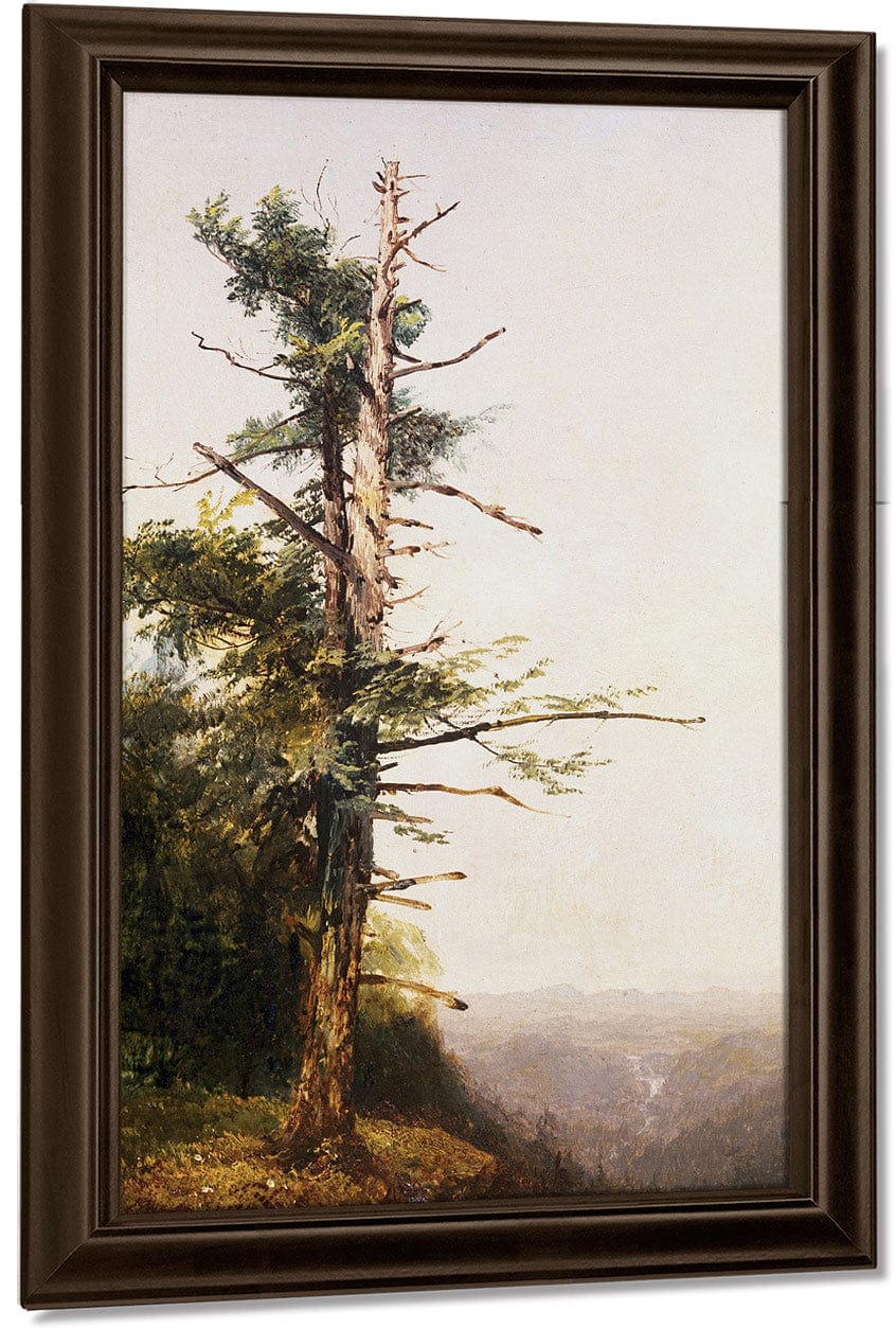 Dying Tree On Mountaintop By John Frederick Kensett - Image 5