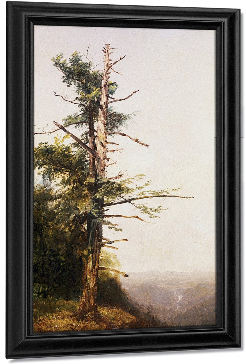 Dying Tree On Mountaintop By John Frederick Kensett - Image 7