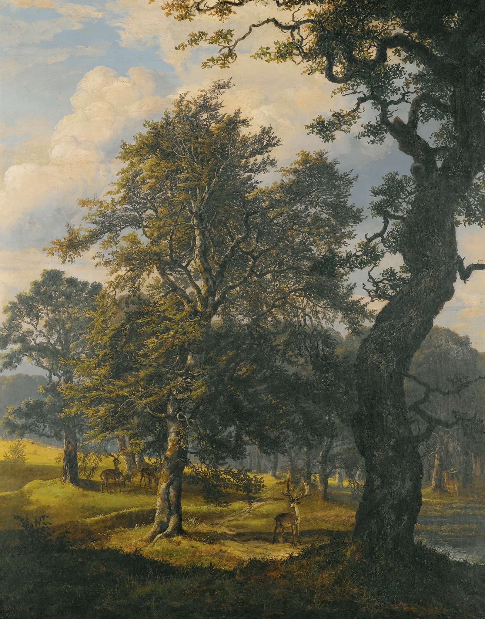 Dyrehaven Near Copenhagen by Johan Christian Dahl - Image 2
