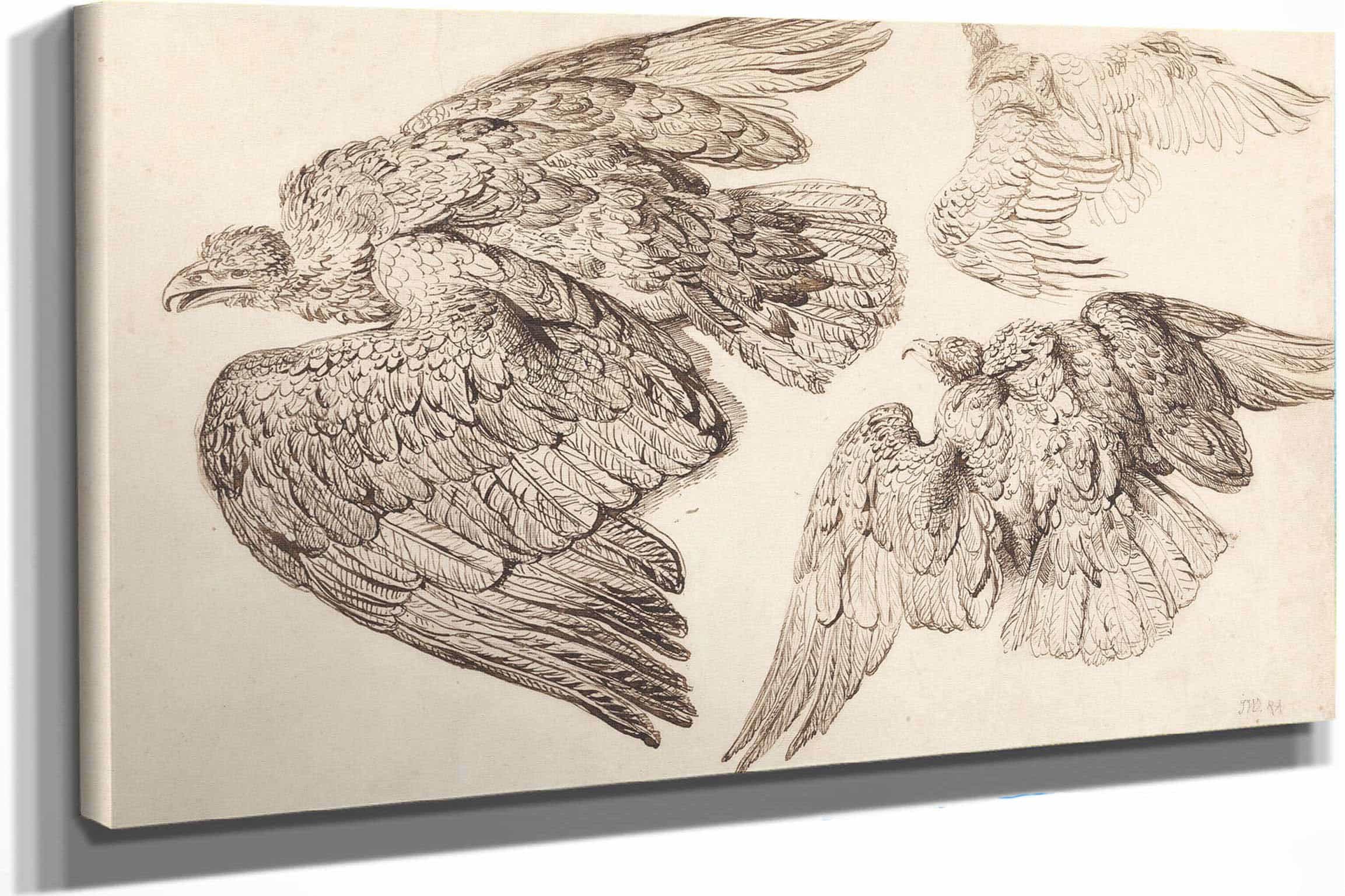 Eagles by James Ward