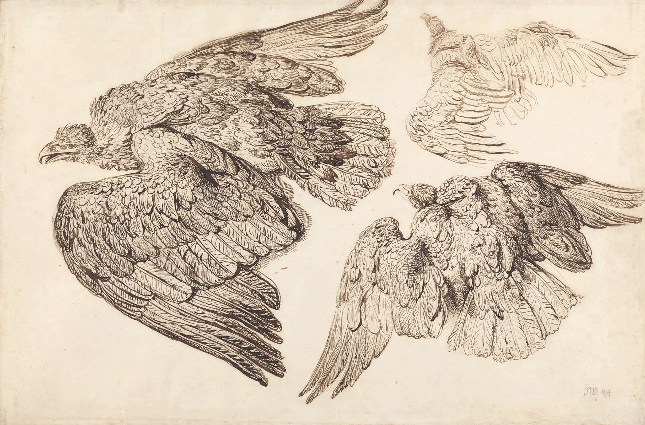 Eagles by James Ward - Image 2