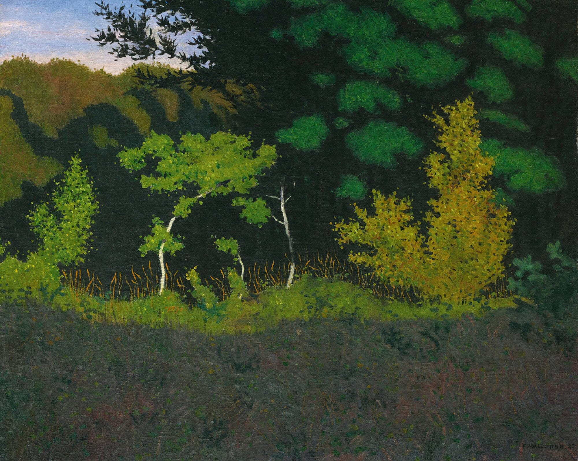 Edge Of The Wood by Felix Vallotton - Image 2