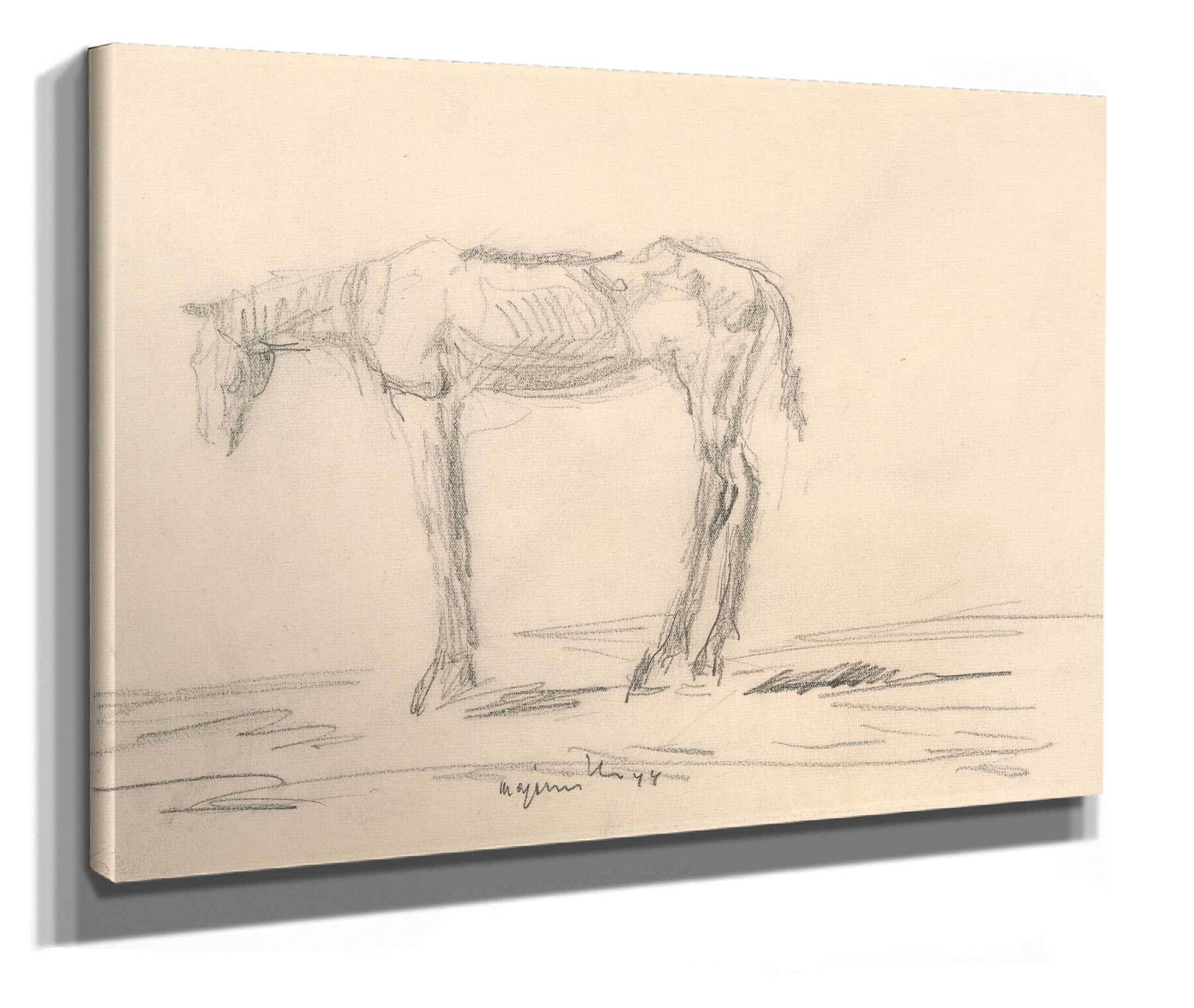 Emaciated Horse by Cyprian Majernik - Image 2