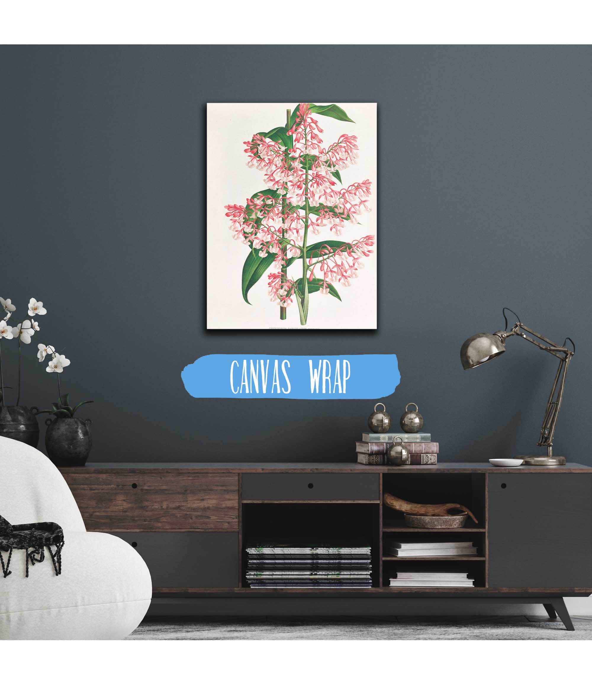 Epidendrum Paniculatum by Jean Jules Linden - Image 3