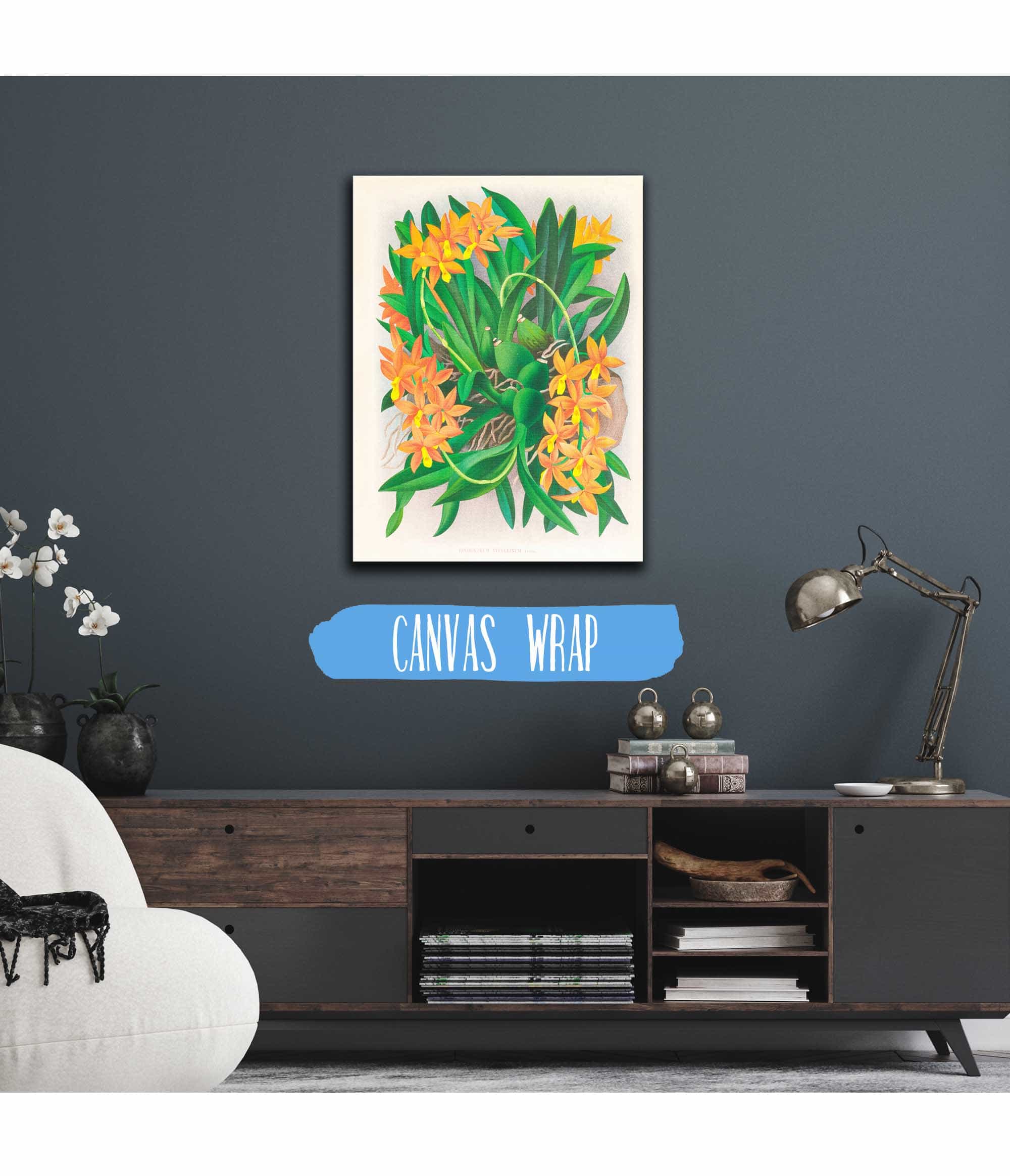 Epidendrum Vitellinum by Jean Jules Linden - Image 3
