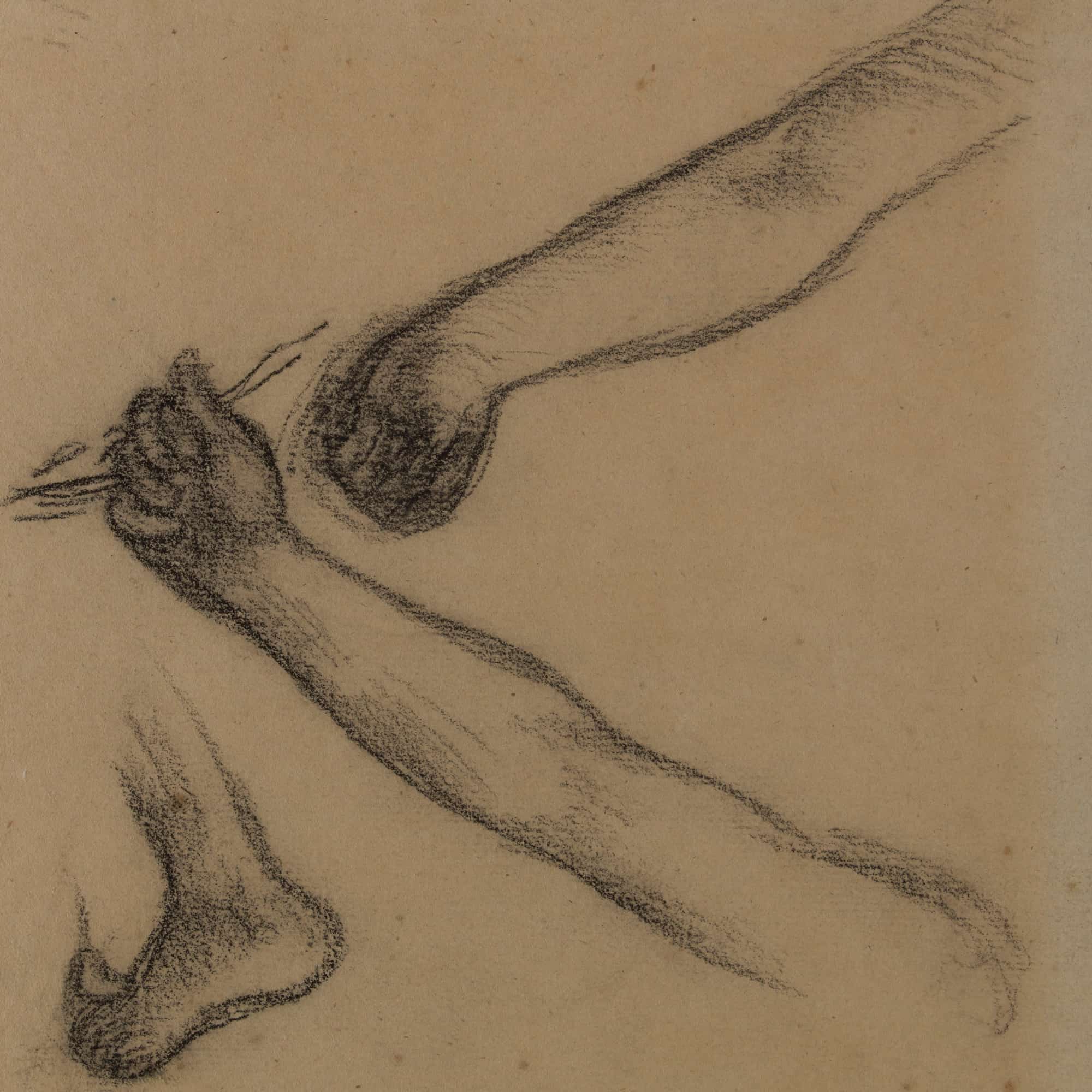 Etude De Bras Et De Pieds by Pierre Puvis De Chavannes - Image 4