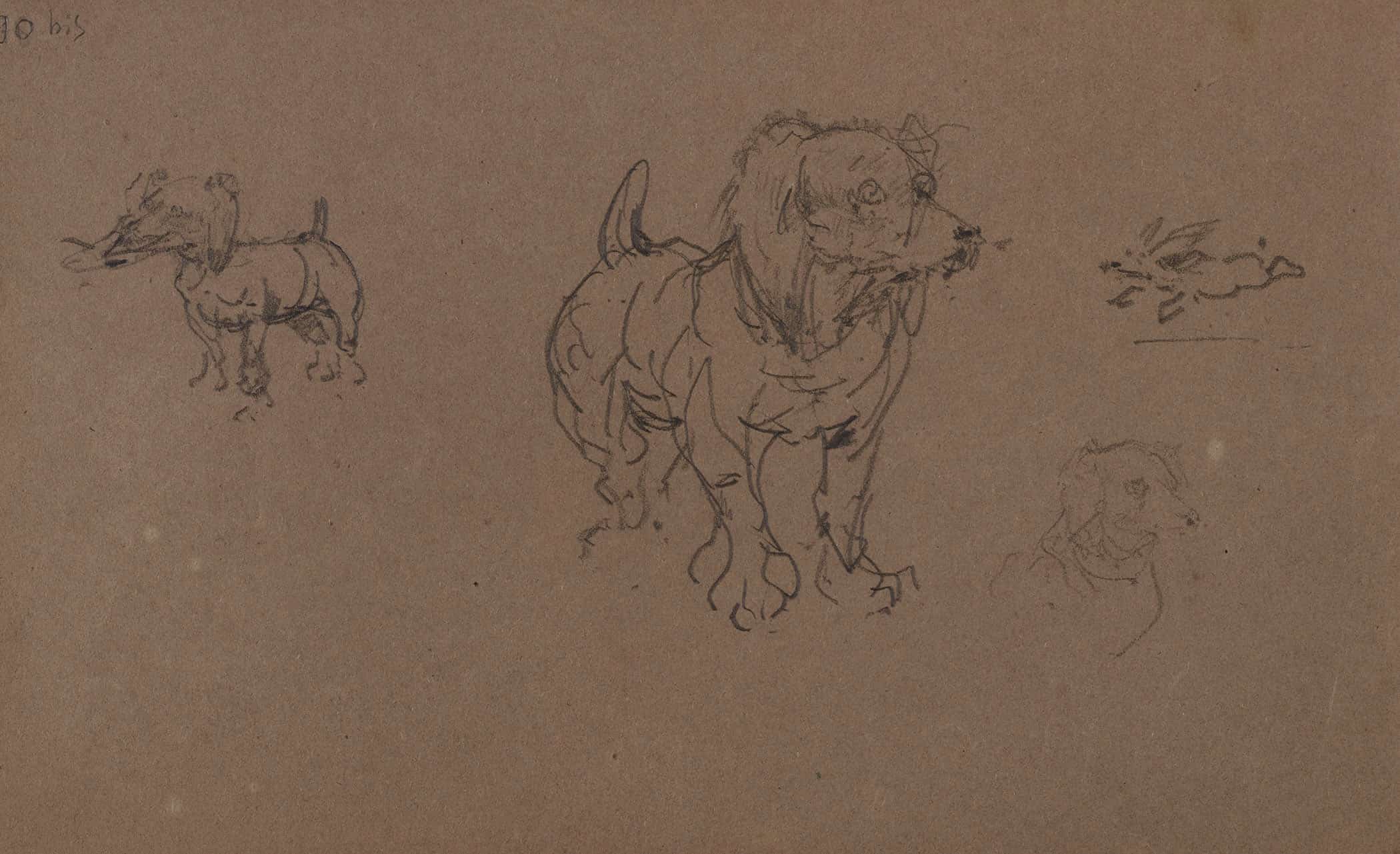 Etudes De Chiens by Henri De Toulouse Lautrec - Image 2