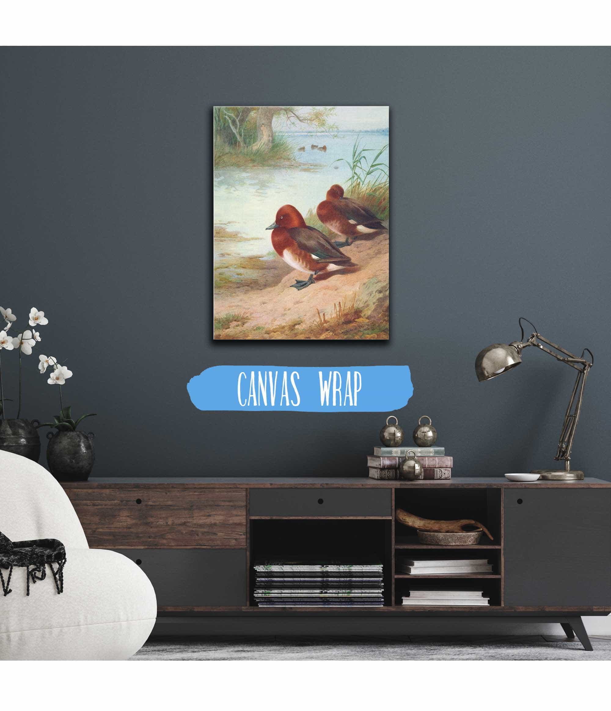 Ferruginous Duck by Archibald Thorburn - Image 3