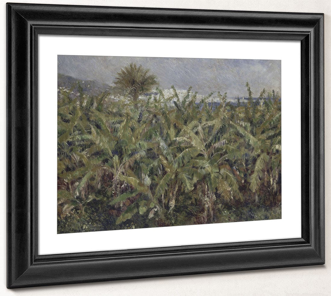 Field Of Banana Trees By Pierre Auguste Renoir - Image 4