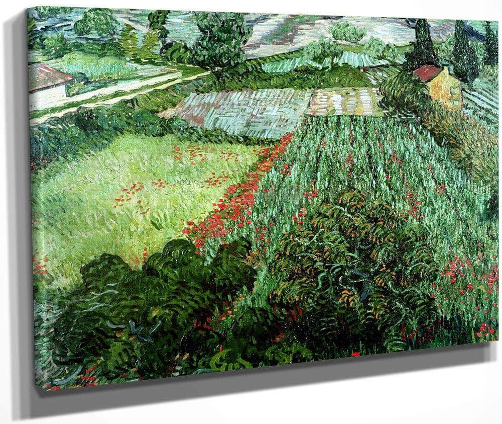 Field With Poppies By Vincent Van Gogh