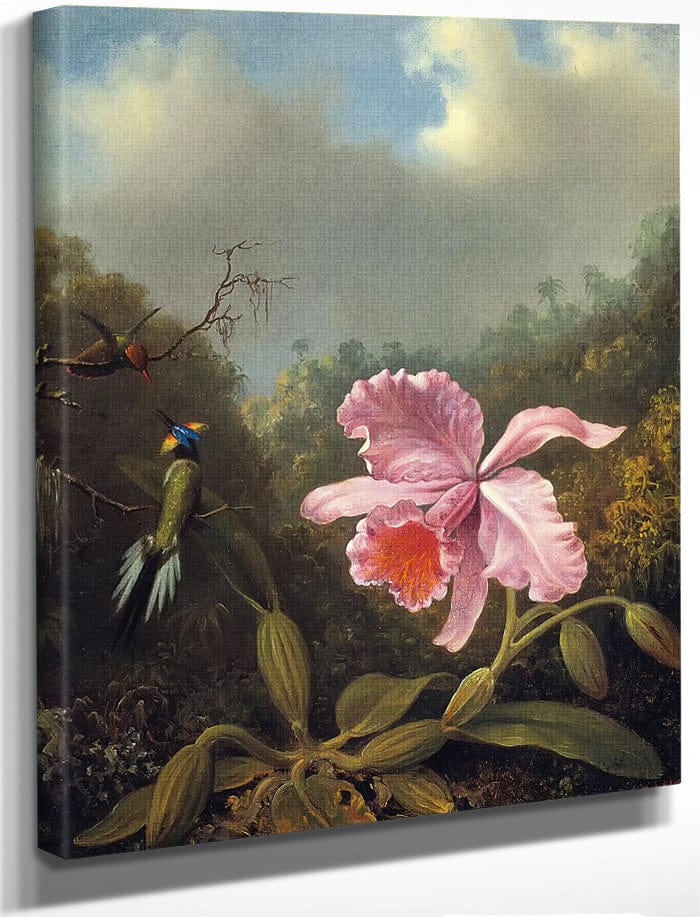 Fighting Hummingbirds With Pink Orchid By Martin Johnson Heade
