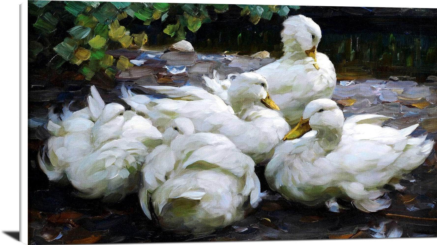Five Dormant White Ducks Painting Alexander Max Koester Canvas Art