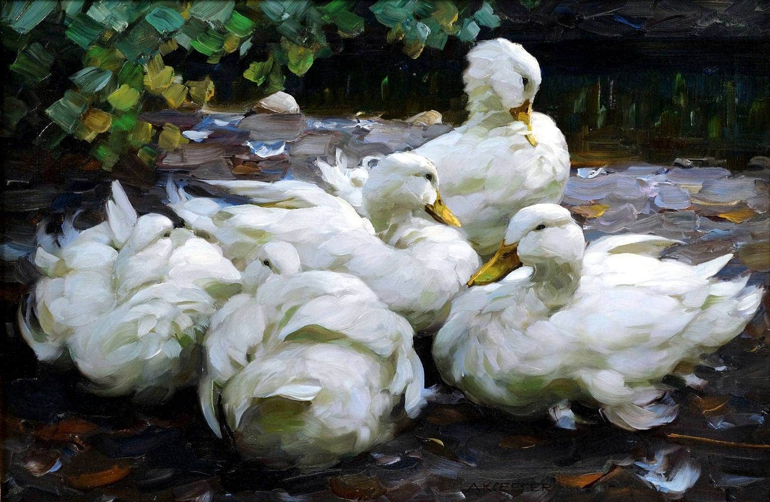 Five Dormant White Ducks Painting Alexander Max Koester Canvas Art - Image 5