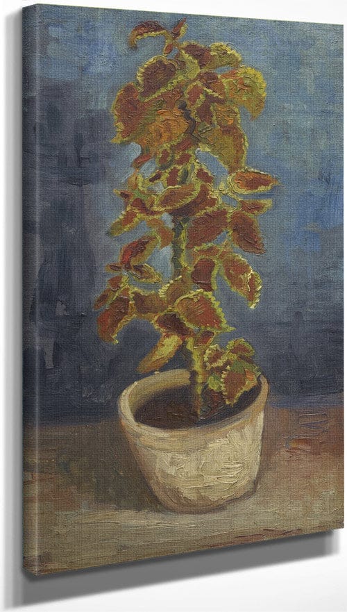 Flame Nettle In A Flowerpot By Vincent Van Gogh - Image 3