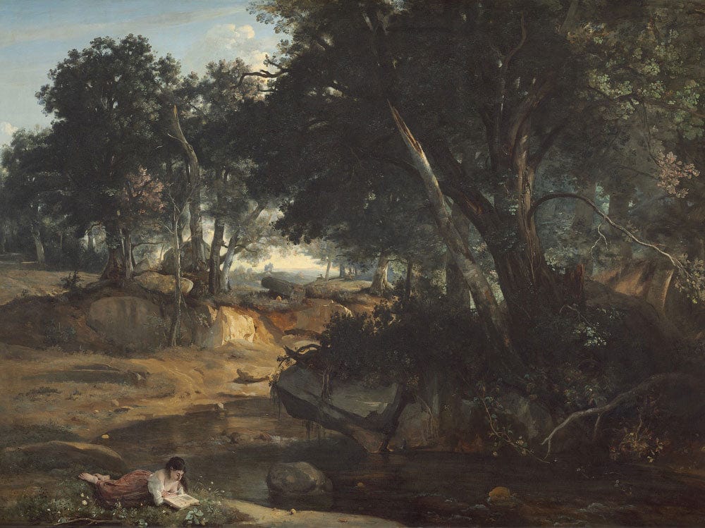 Forest Of Fontainebleau By Jean Baptiste Camille Corot - Image 7