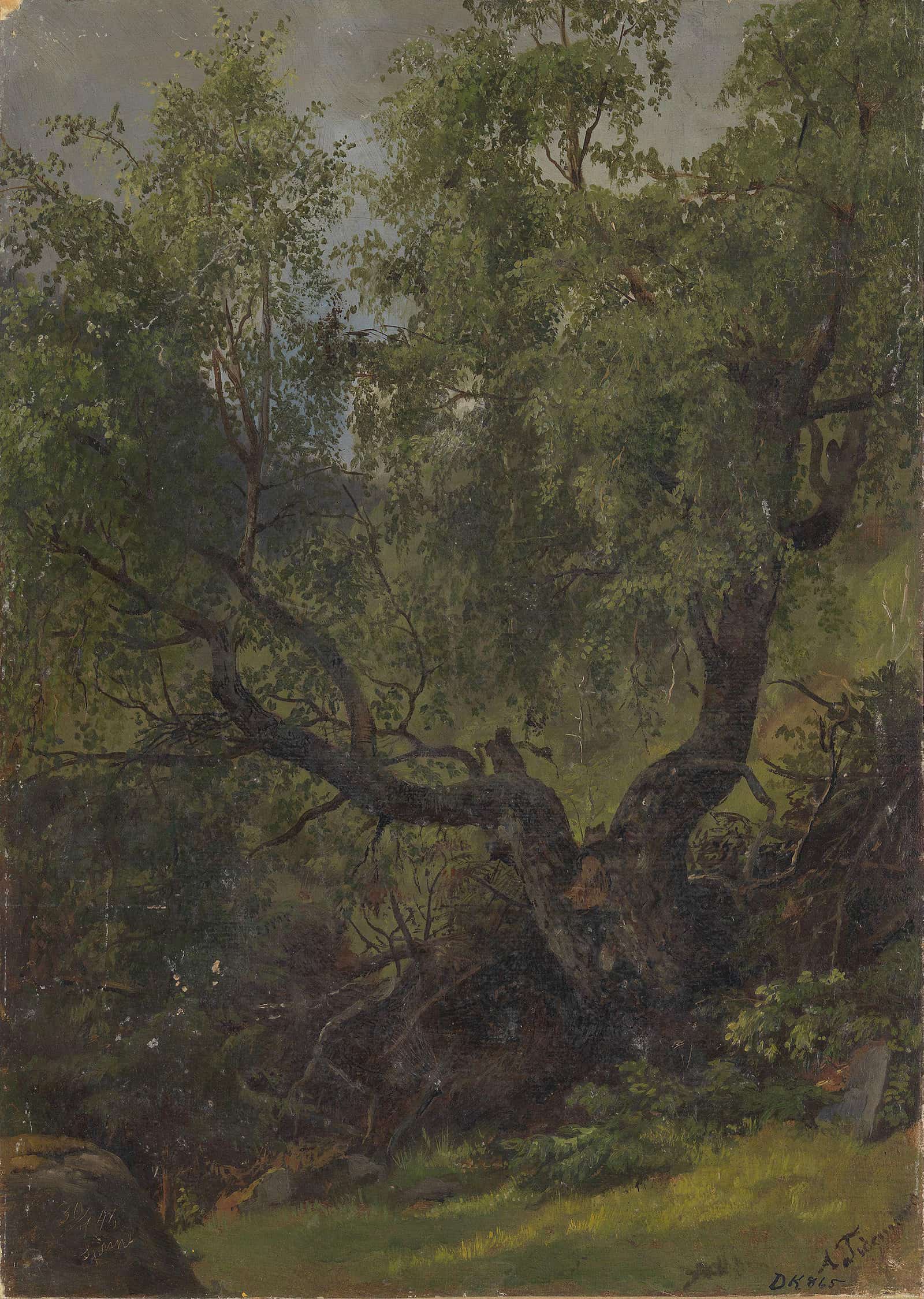 Forest Study From Numedal by Adolph Tidemand
