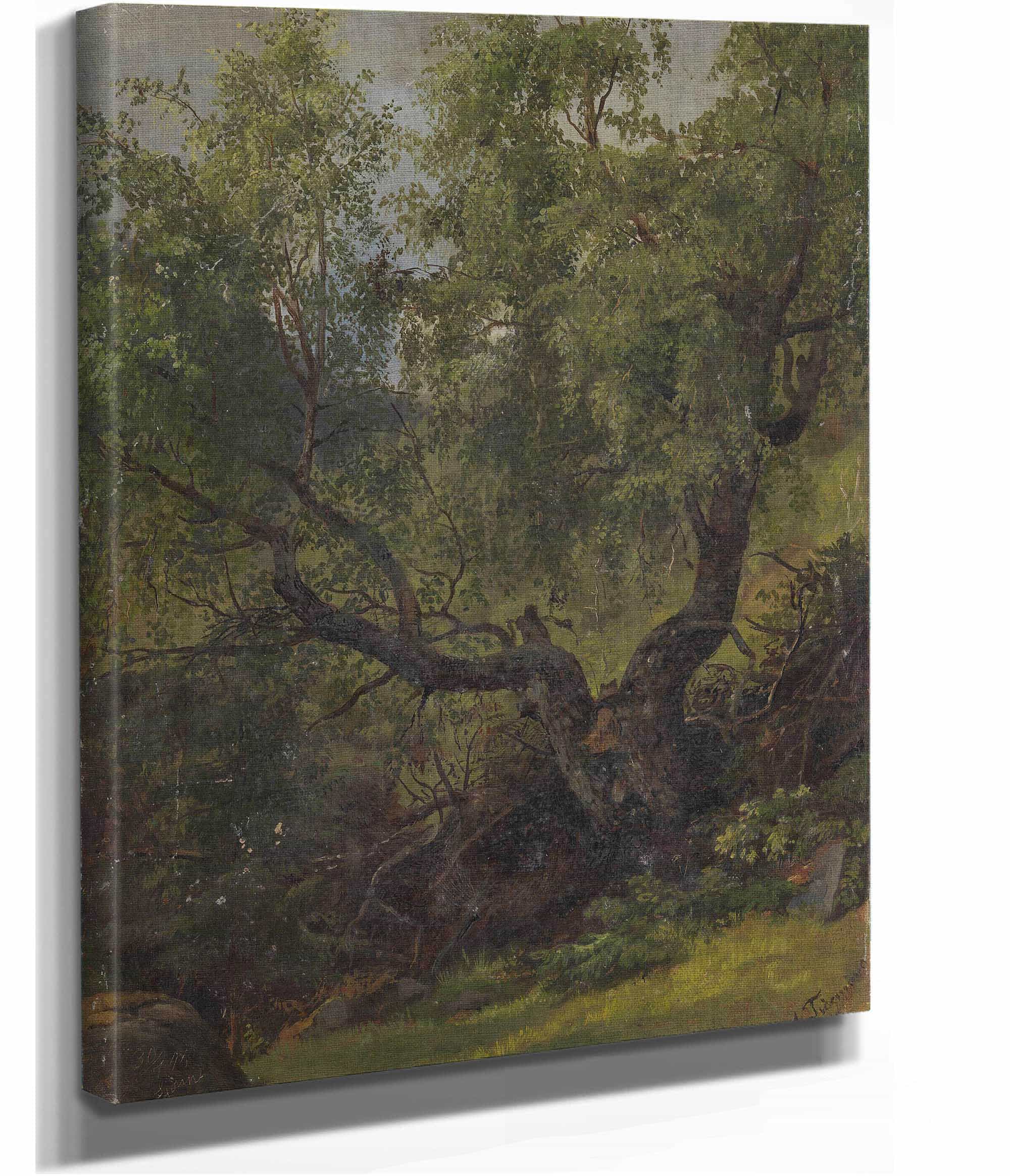 Forest Study From Numedal by Adolph Tidemand - Image 2