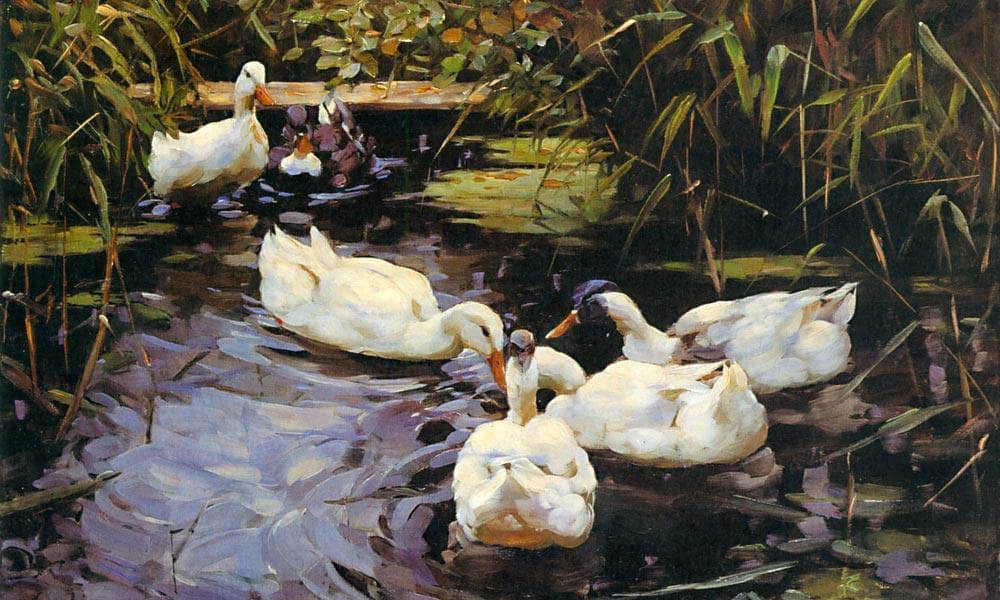 Four Ducks At The Pond By Alexander Koester - Image 6