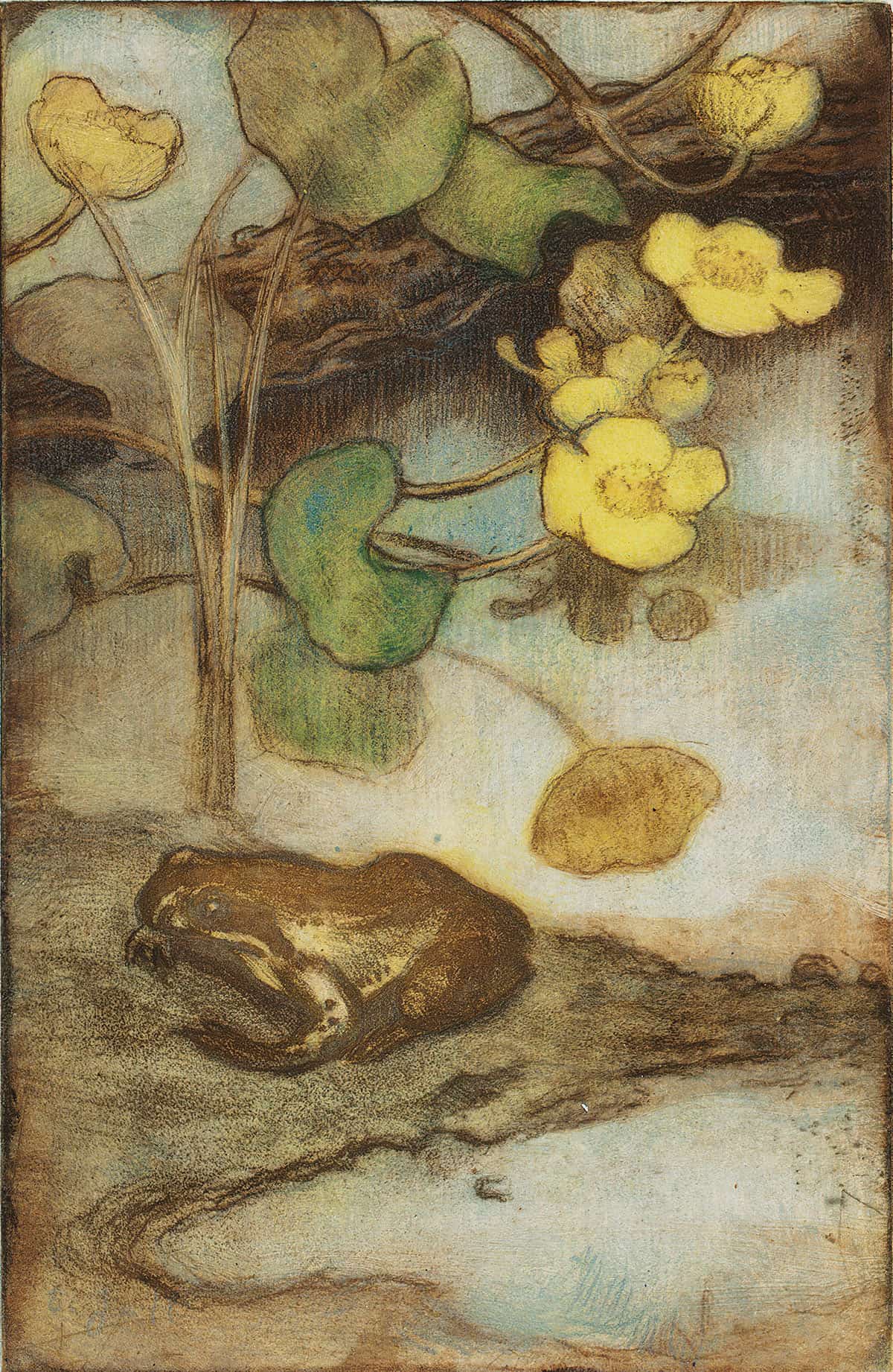 Frog With Marsh Marigold  by Eero Jarnefelt - Image 3
