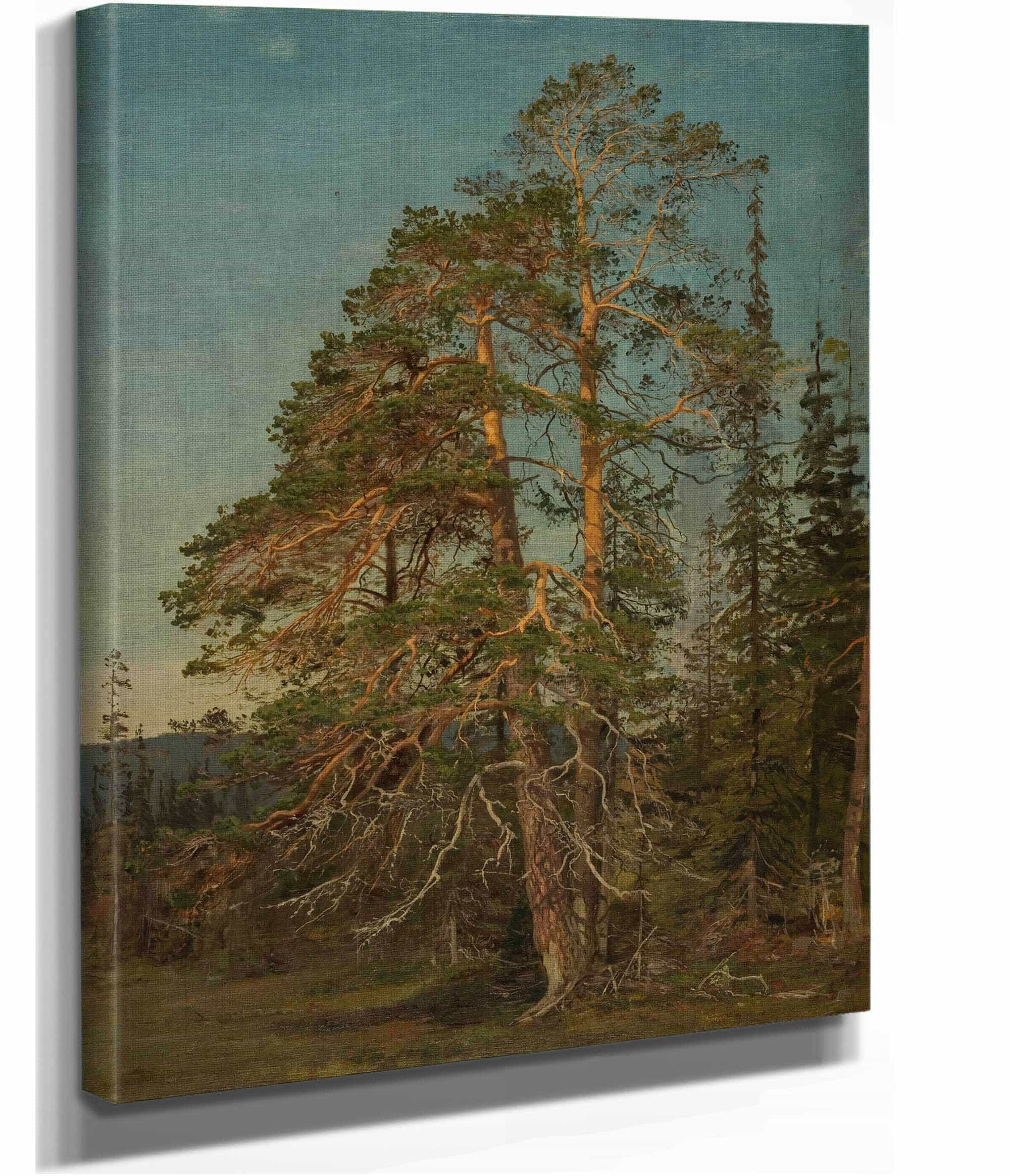 Furuer Levanger by Amaldus Nielsen - Image 2