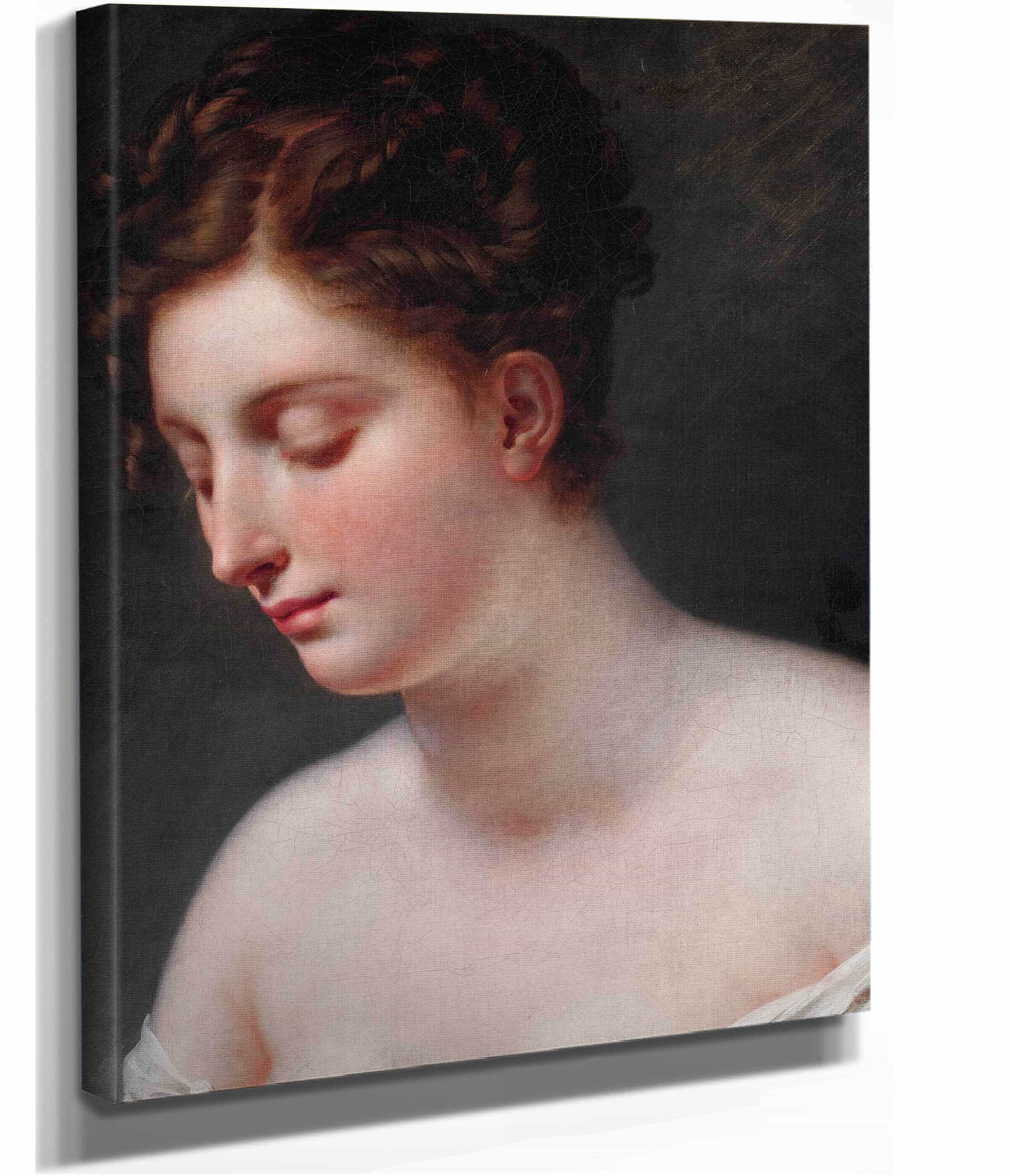 Galatea by Anne Louis Girodet Trioson - Image 2