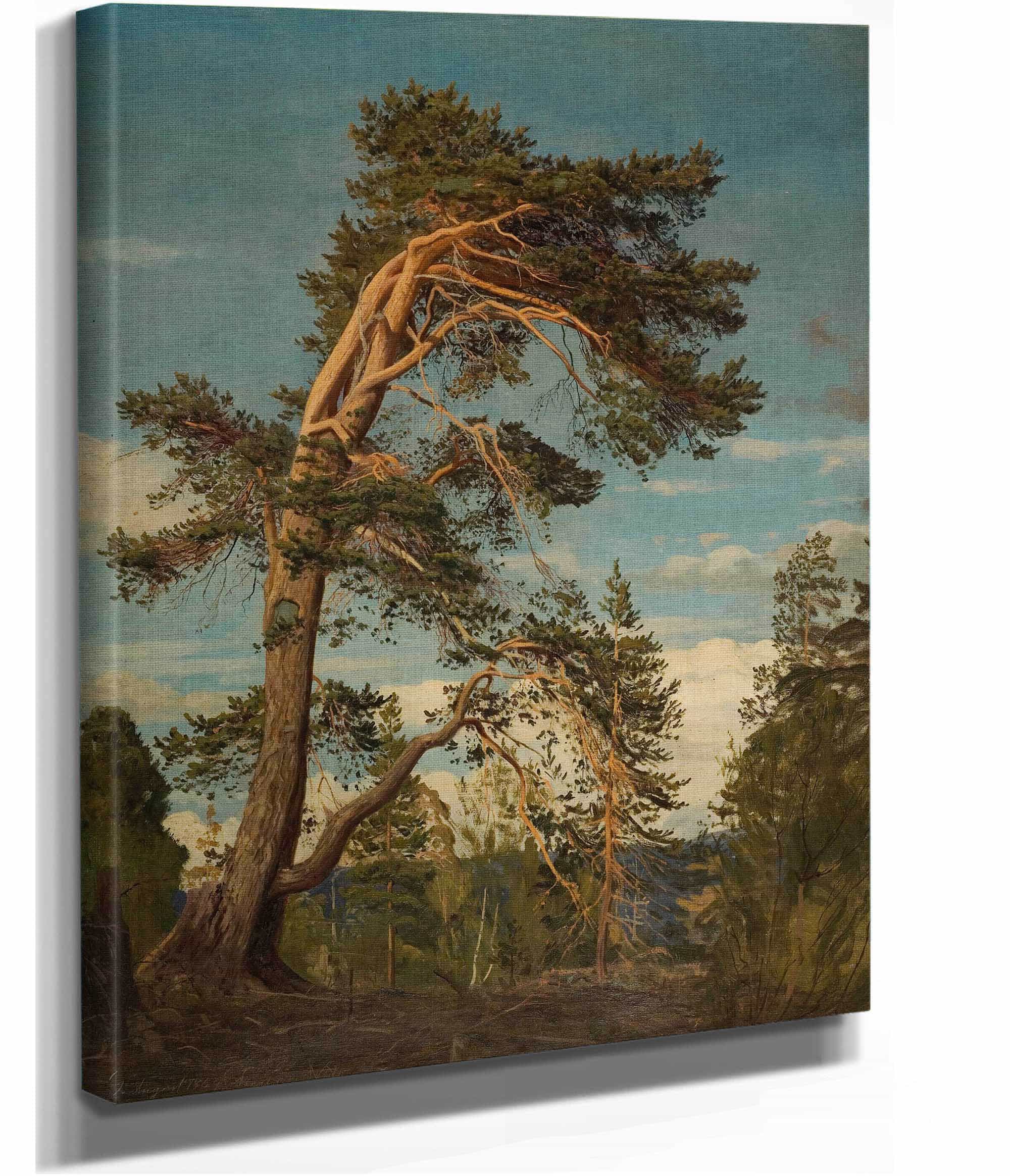 Gammel Furu Overst I Setesdal by Amaldus Nielsen - Image 2