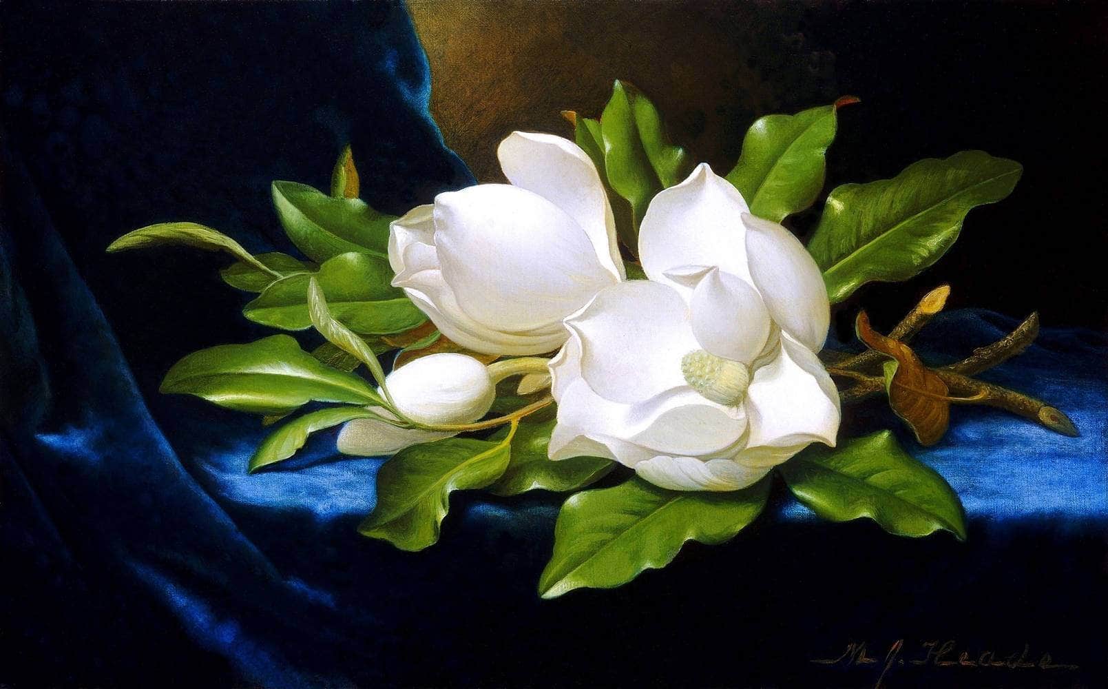 Giant Magnolias On A Blue Velvet Cloth Painting Martin Heade Canvas Art - Image 5