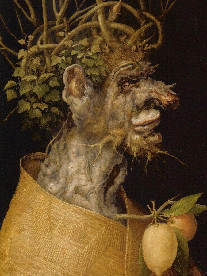 The Winter 1563 By Giuseppe Arcimboldo - Image 5
