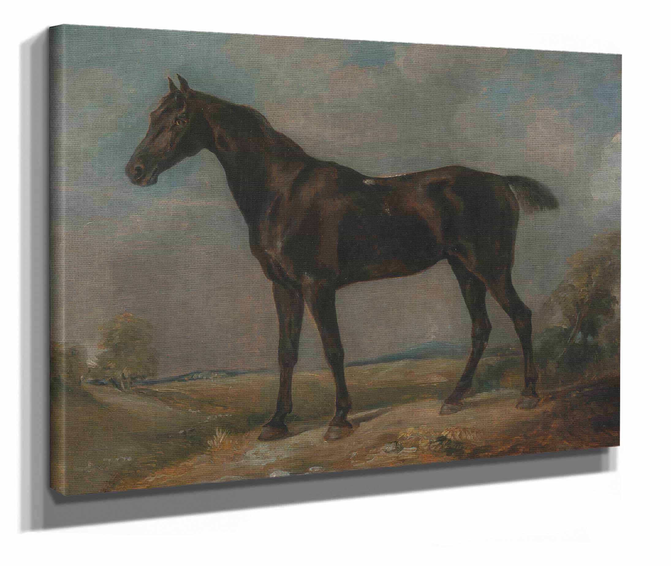 Golding Constables Black Riding Horse by John Constable - Image 2