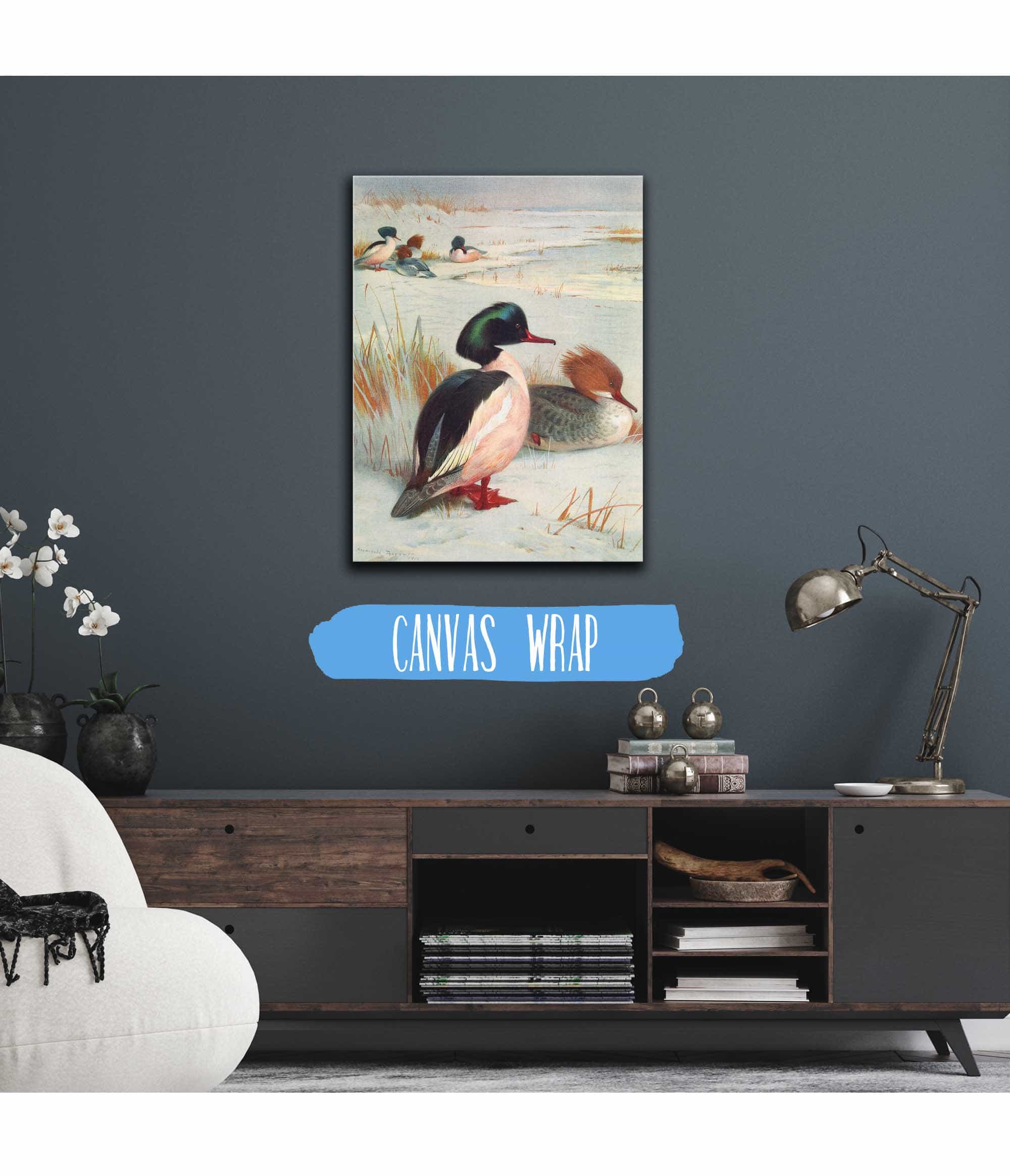 Goosander by Archibald Thorburn - Image 3