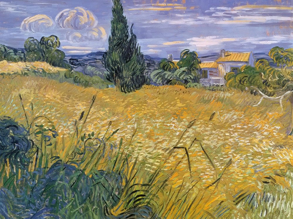 Green Wheat Field With Cypress By Vincent Van Gogh - Image 7