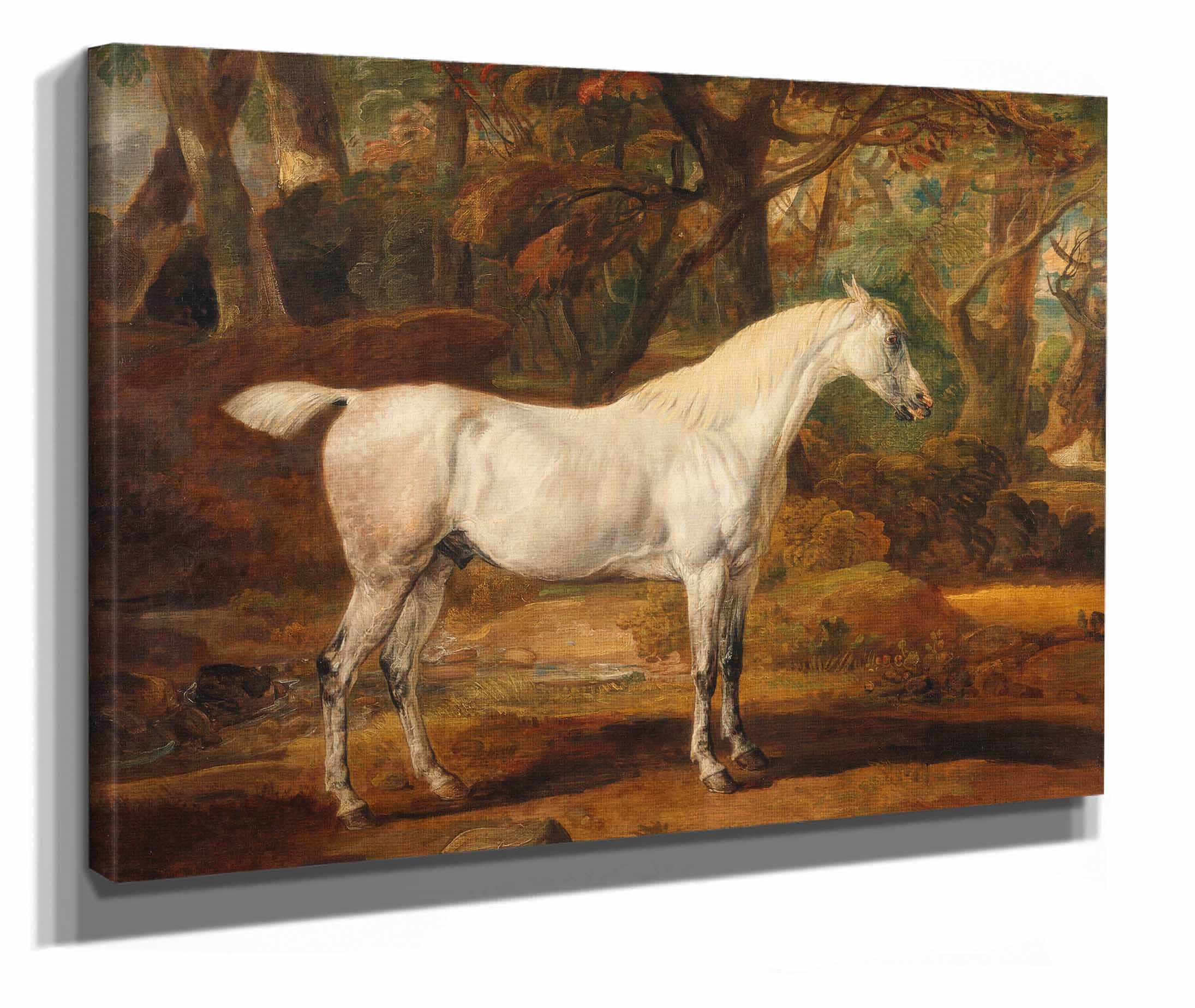 Grey Arabian Stallion The Property Of Sir Watkin Williams Wynn by James Ward - Image 2